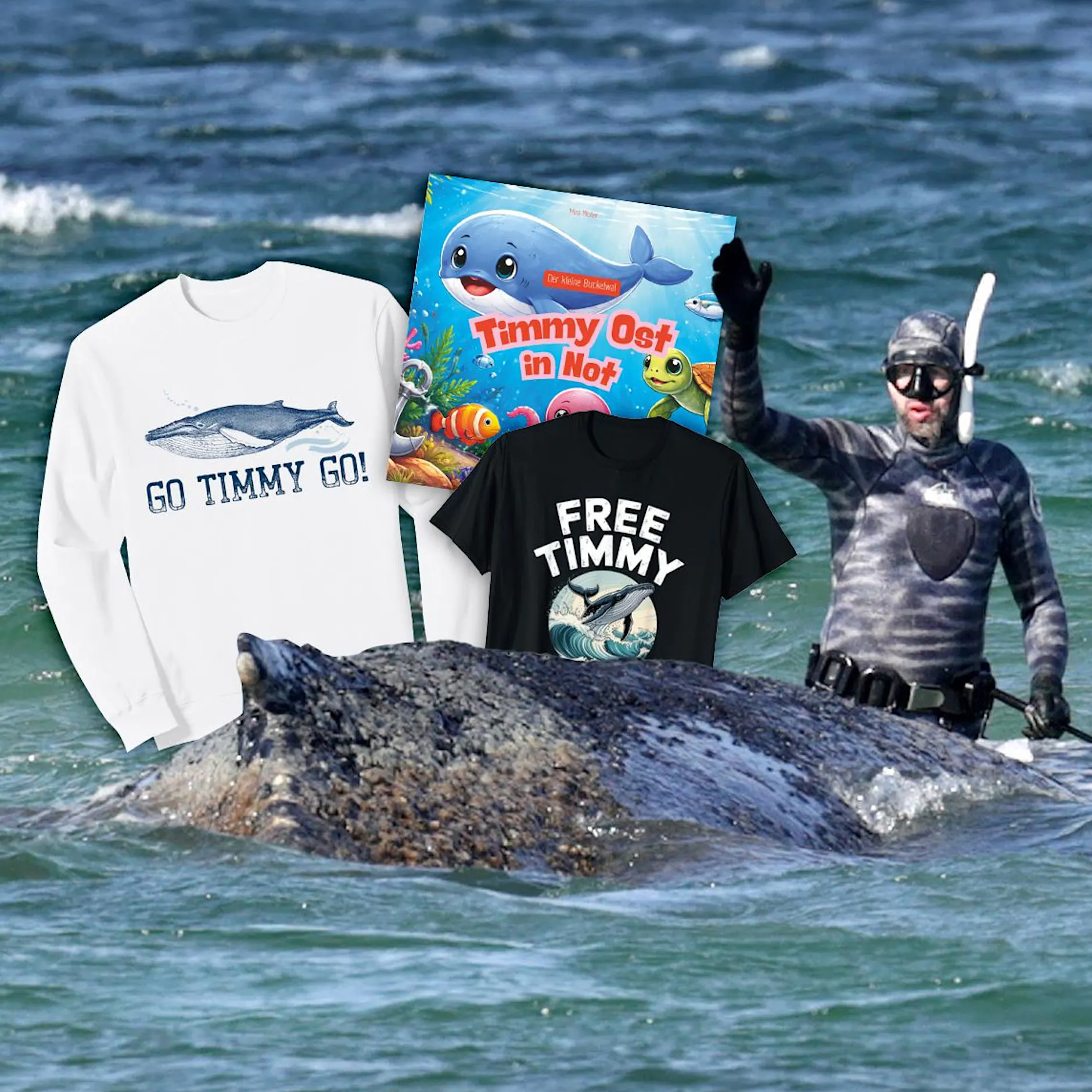Wal Timmy an der Ostsee: Wie mit seinem Schicksal Geld verdient wird