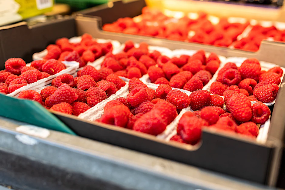 Die geladenen Himbeeren konnten nicht mehr gerettet werden. (Symbolbild)