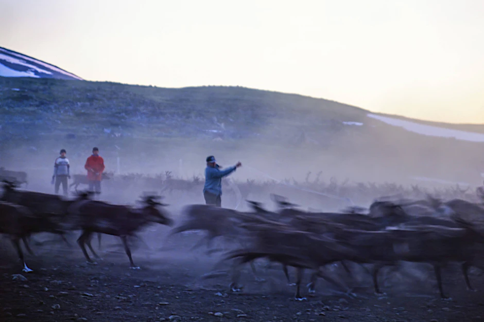 Samische Rentierhalter im schwedischen Lappland