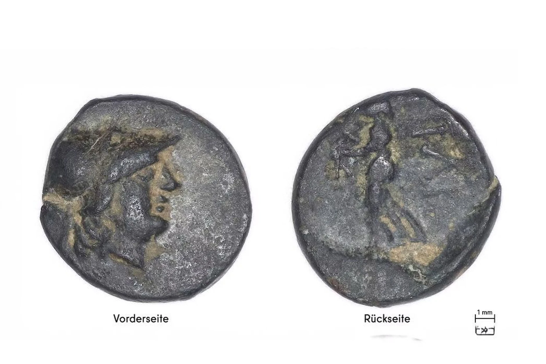 Ein 13-jähriger Schüler entdeckte diese griechische Münze aus dem 3. Jahrhundert v. Chr. in Berlin-Spandau.