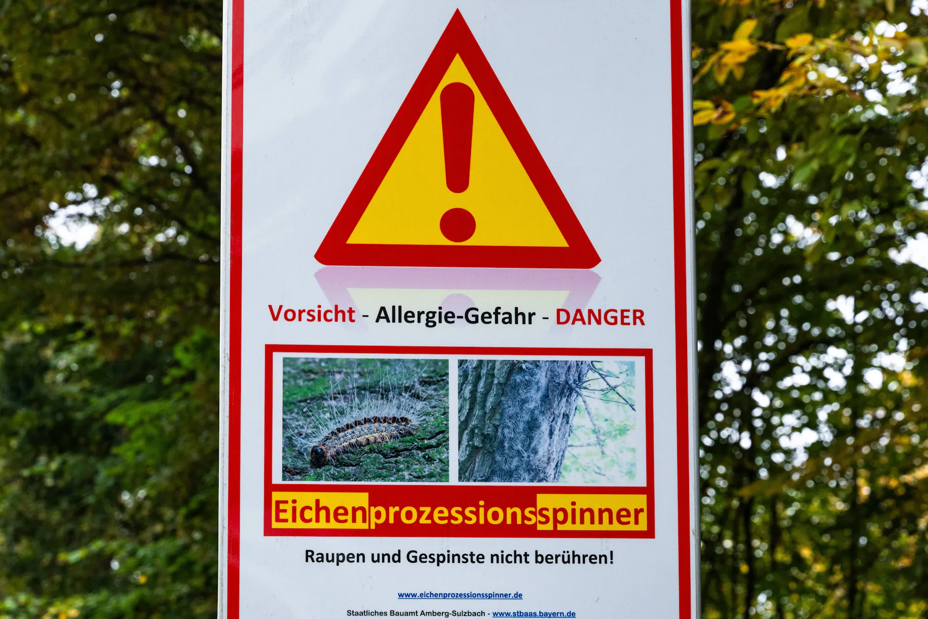 In betroffenen Parks und Wäldern warnen Behörden vor dem Eichenprozessionsspinner.