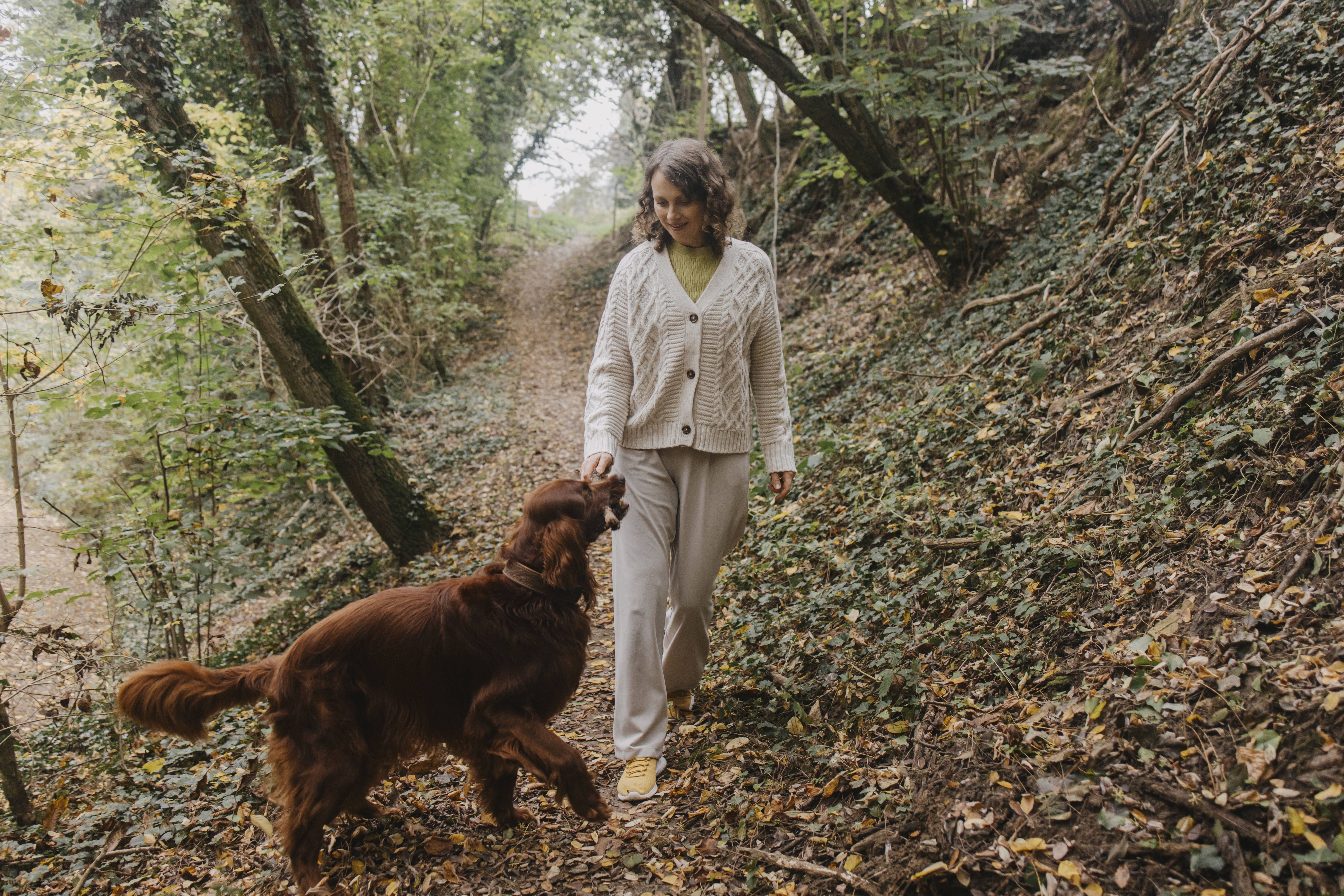 Tödliche Gefahr: So schützen Sie Ihren Hund vor der Horror-Raupe