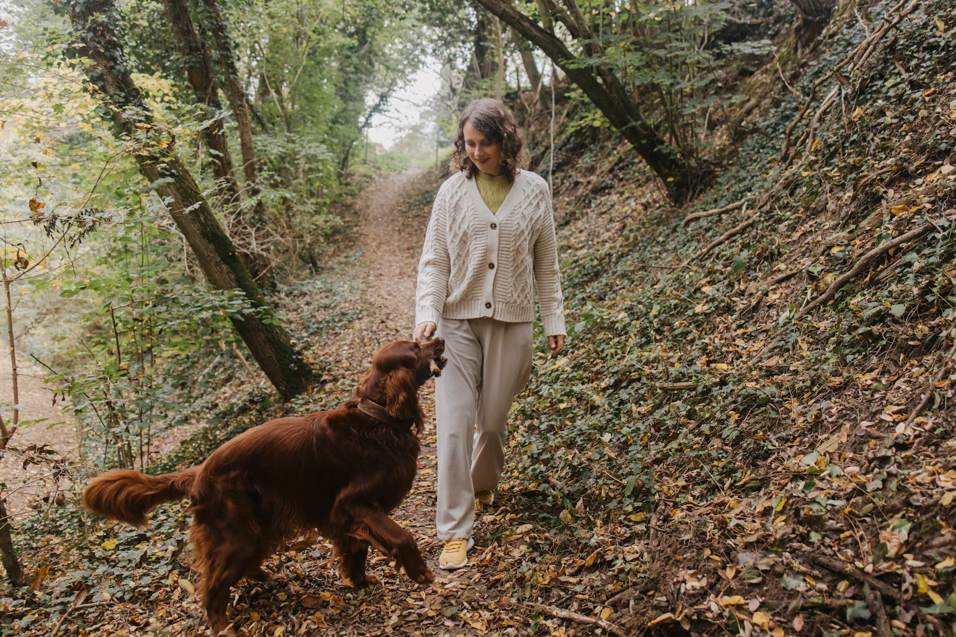 Im Frühjahr lauert in Wäldern und Parks für Hunde eine große Gefahr.