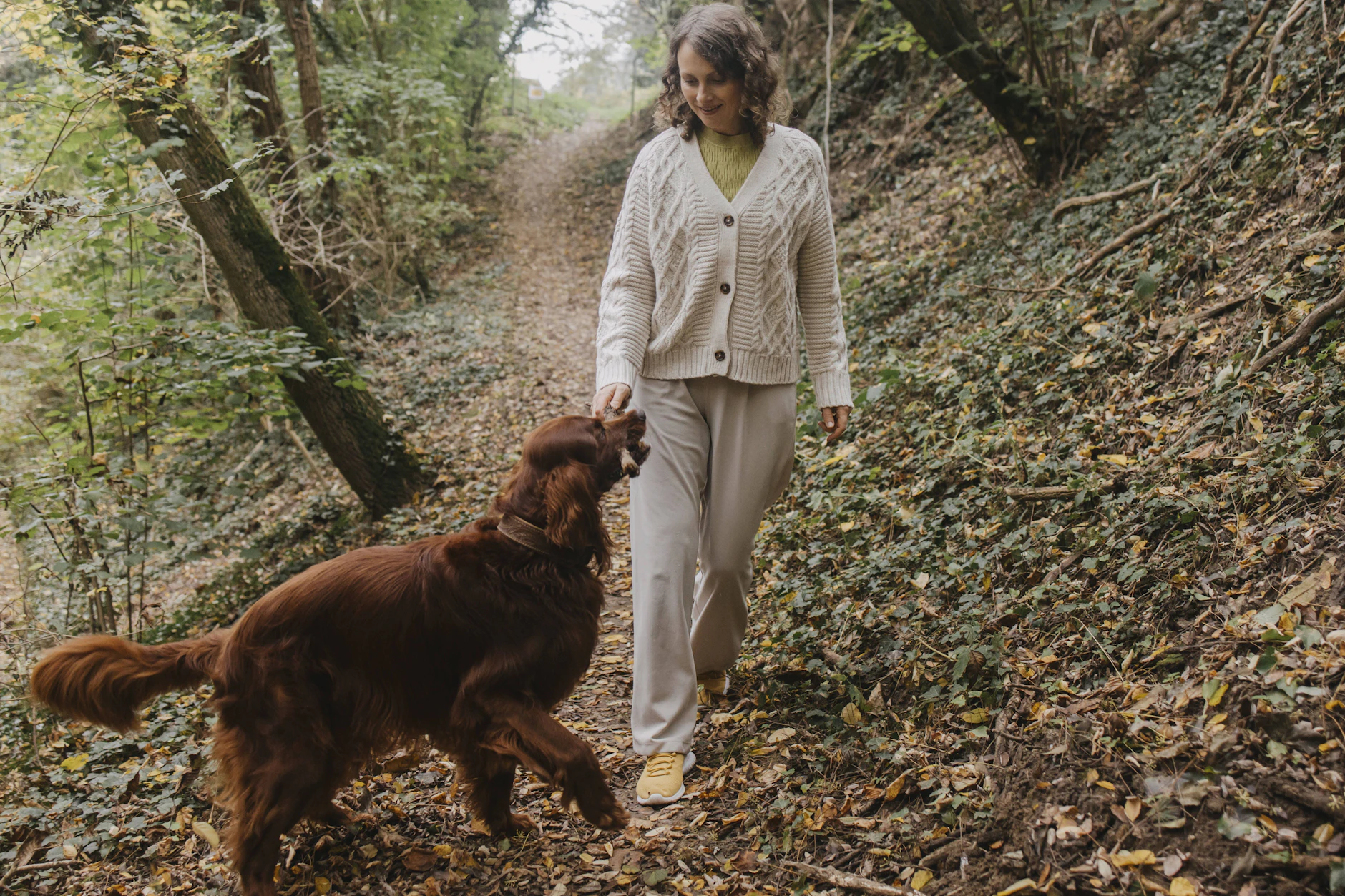 Tödliche Gefahr: So schützen Sie Ihren Hund vor der Horror-Raupe