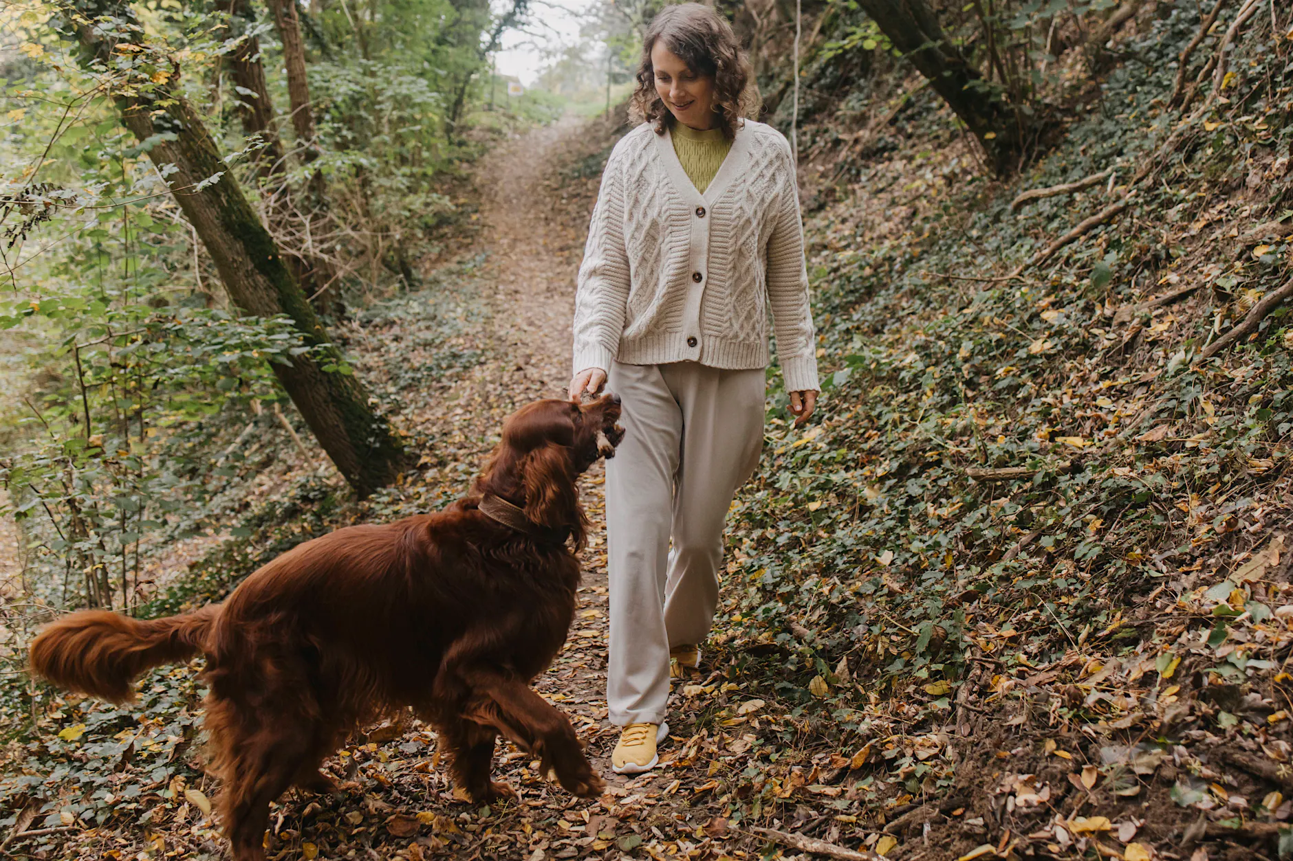 Tödliche Gefahr: So schützen Sie Ihren Hund vor der Horror-Raupe