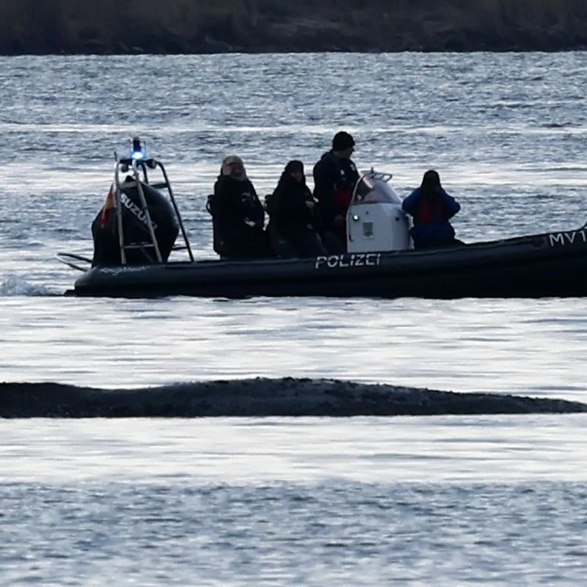 Kampf um Ostsee-Wal: Wird Timmy in der Nordsee ertrinken?