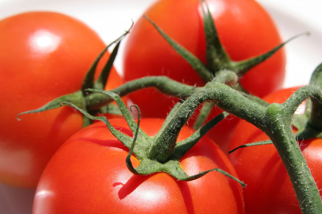 In mehreren Geschäften sind diese Woche Tomaten verschiedener Sorten im Angebot. Daraus kann man einen tollen Tomatensalat machen.