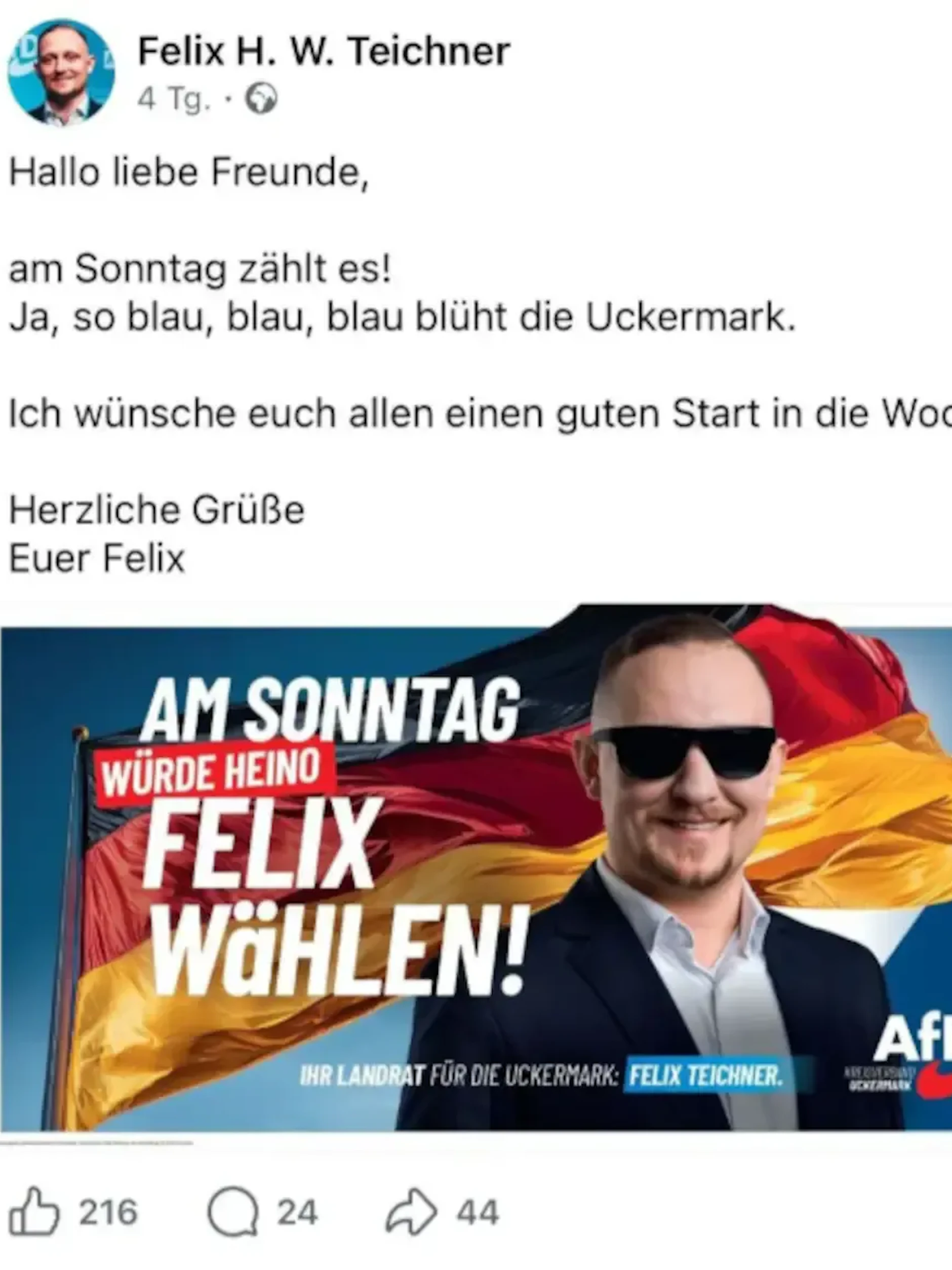 Die umstrittene Wahlwerbung von Felix Teichner