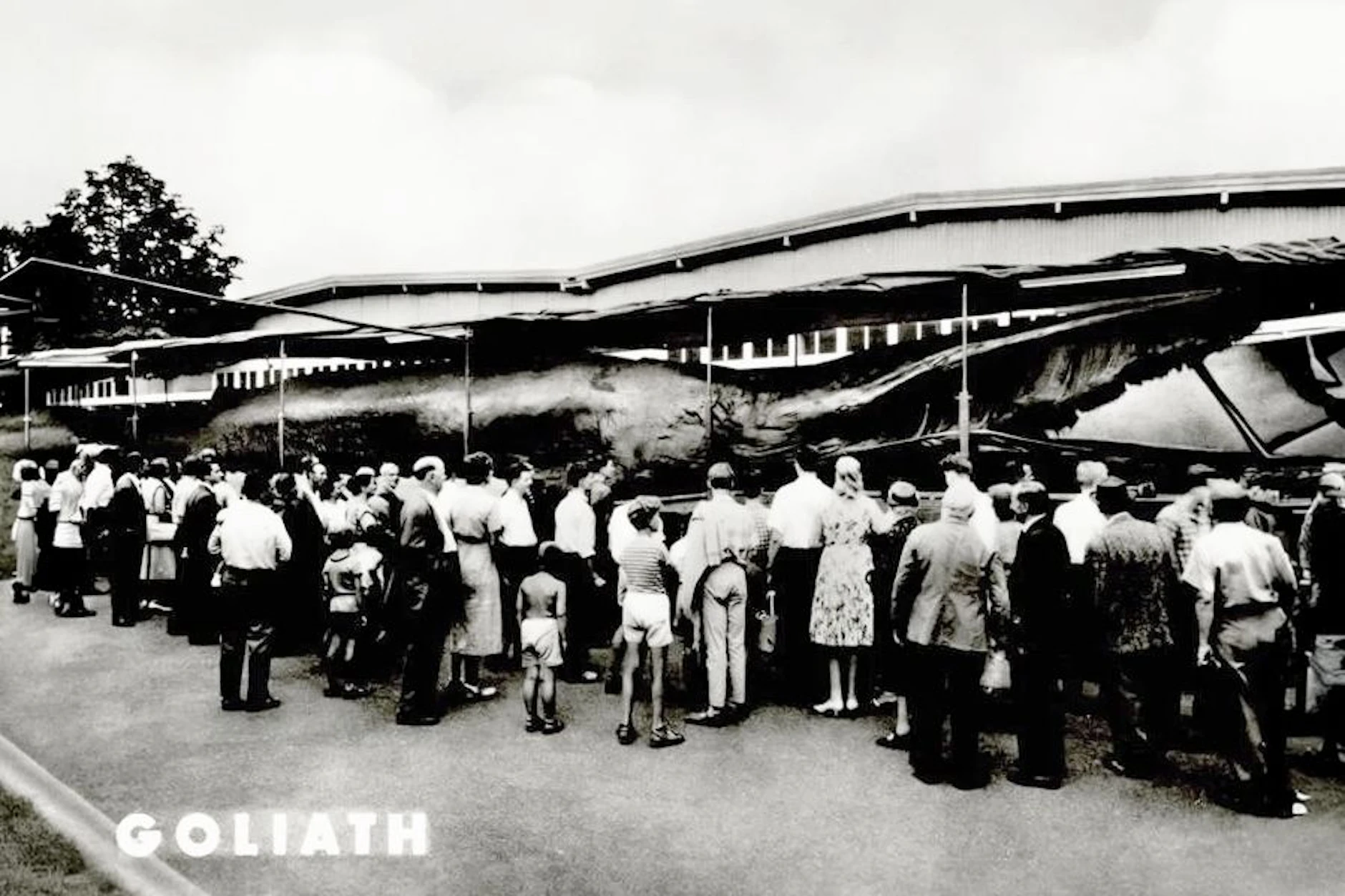 Solche Postkarten wurden damals verkauft – und erinnern noch heute an den Wal Goliath, der auch durch die DDR reiste.