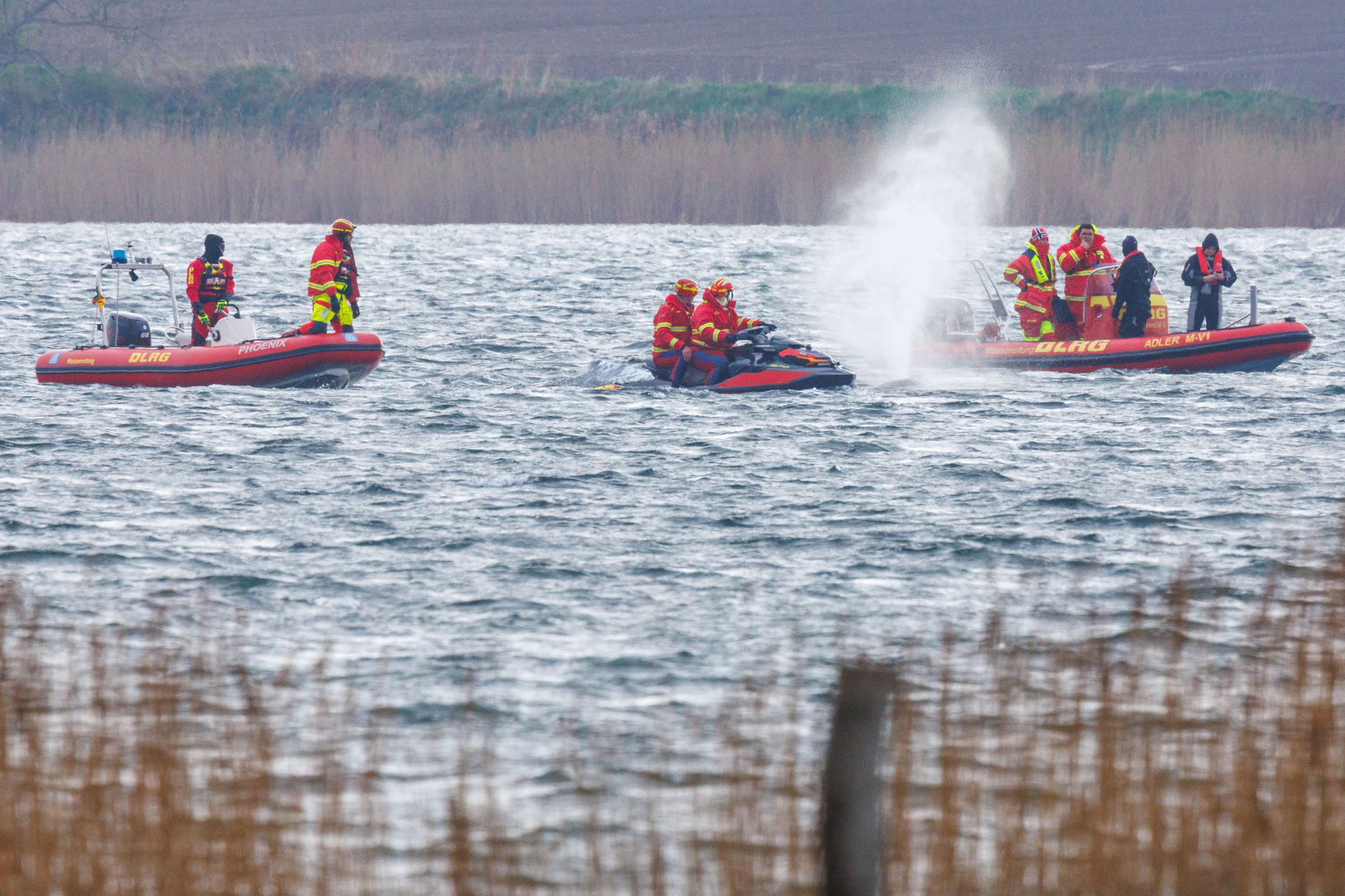 Kirchdorf (Poel): Der Buckelwal vor der Insel Poel schwimmt frei und wird von Helfern in Schlauchbooten begleitet, die dem Wal die Richtung zum offenen Meer zeigen.