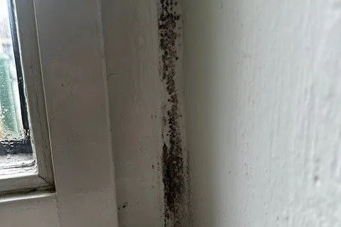 Schwarze Flecke am Fensterrahmen: Diesen Schimmelbefall von vor einem halben Jahr hat Martin Pohl dokumentiert.