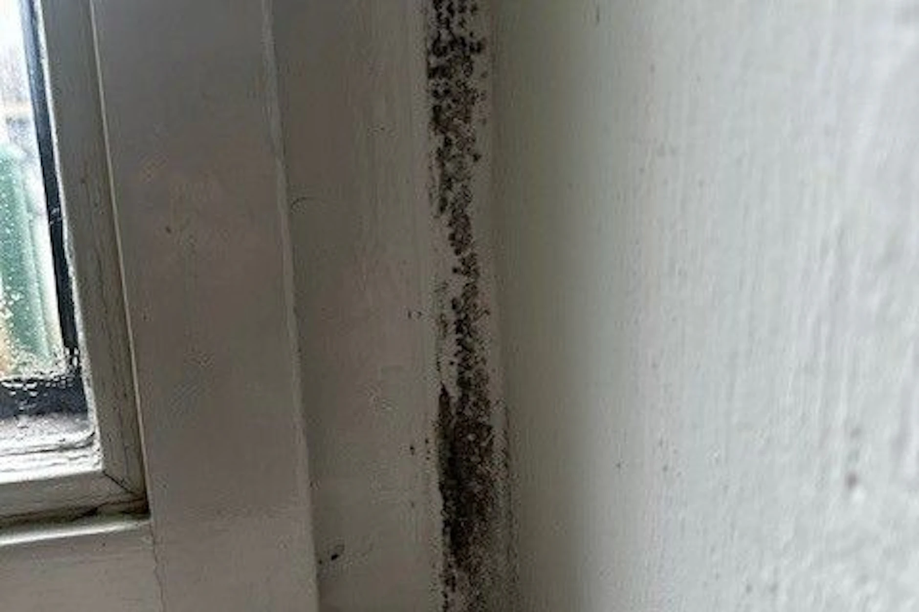 Schwarze Flecke am Fensterrahmen: Diesen Schimmelbefall von vor einem halben Jahr hat Martin Pohl dokumentiert. 