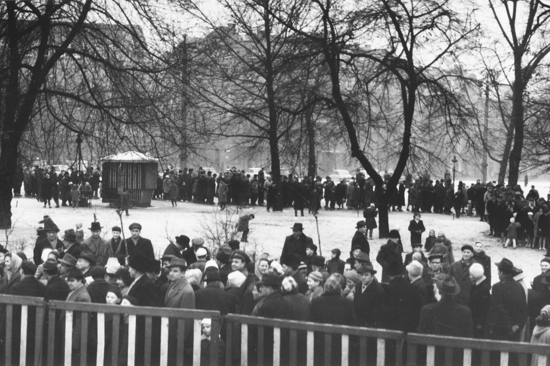 Wie groß der Andrang bei den Wal-Schauen war, zeigt dieses alte Foto: Hier warten etliche Menschen in Budapest, um das Tier bestaunen zu können.