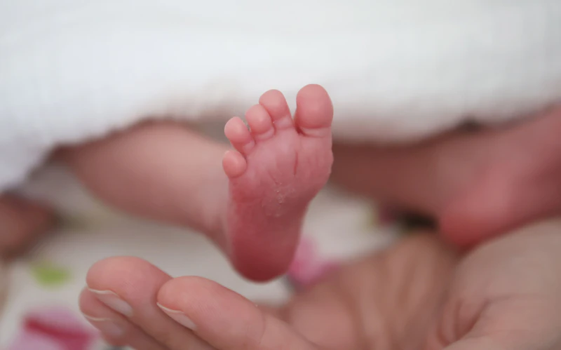 Mecklenburg-Vorpommern verzeichnet niedrigste Geburtenrate seiner Geschichte