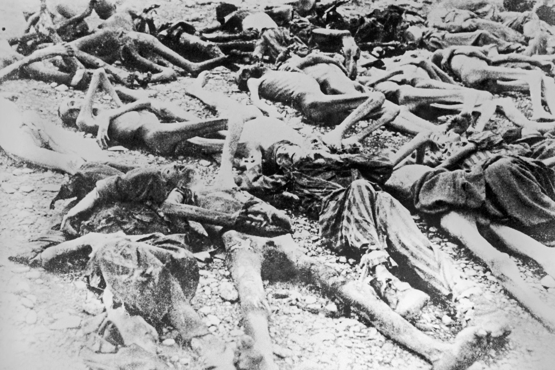 Die Leichen von ermordeten Häftlingen im KZ Buchenwald.