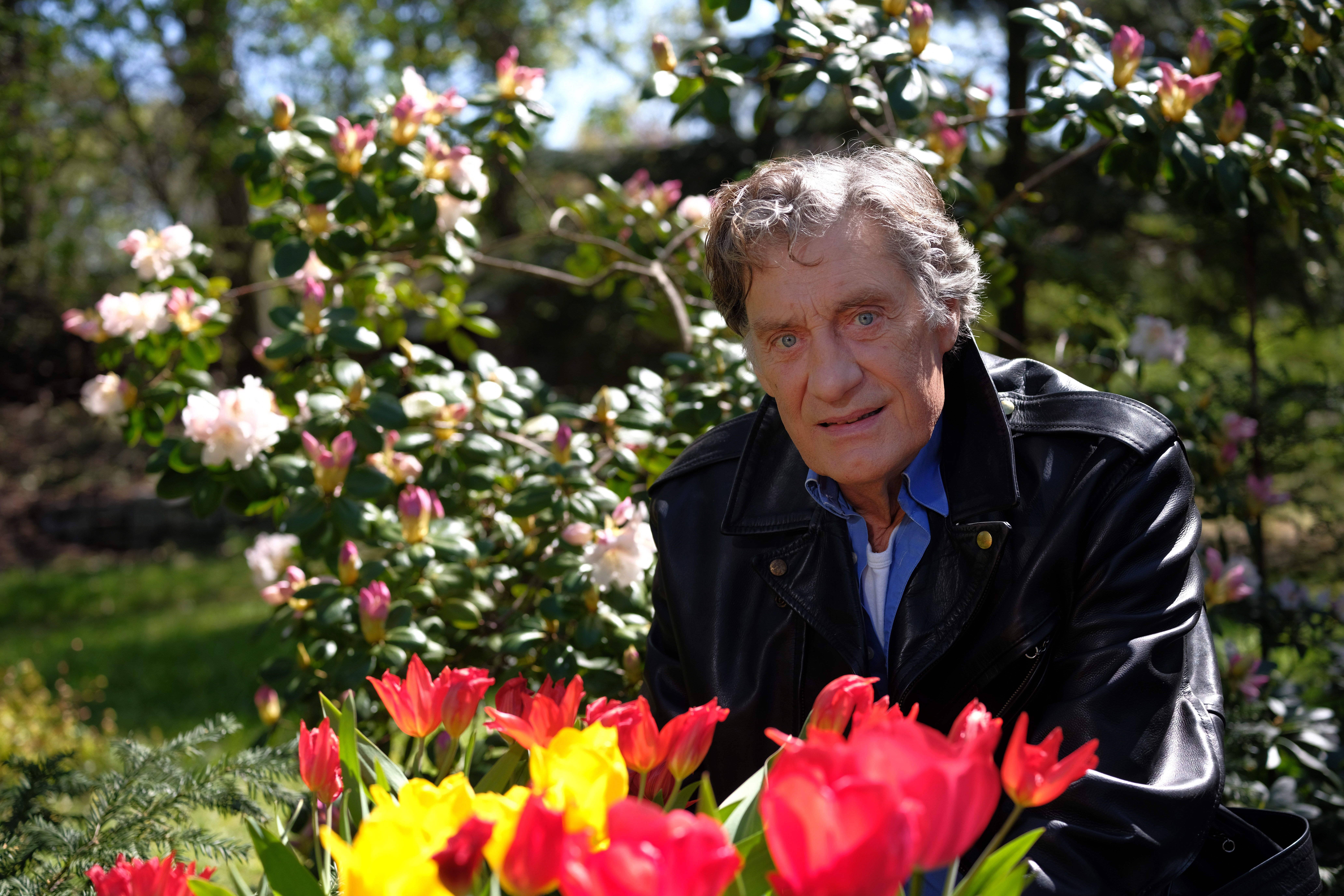 DDR-Star Winfried Glatzeder in tiefer Trauer um seine Frau