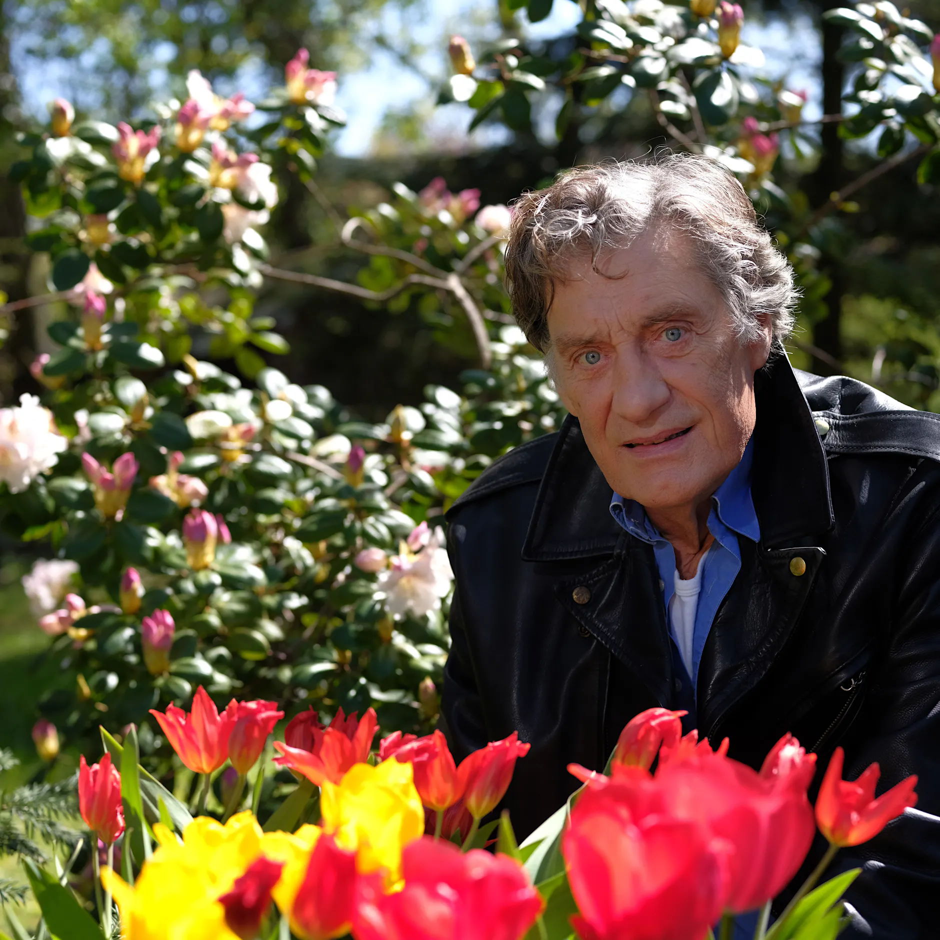 DDR-Star Winfried Glatzeder in tiefer Trauer um seine Frau