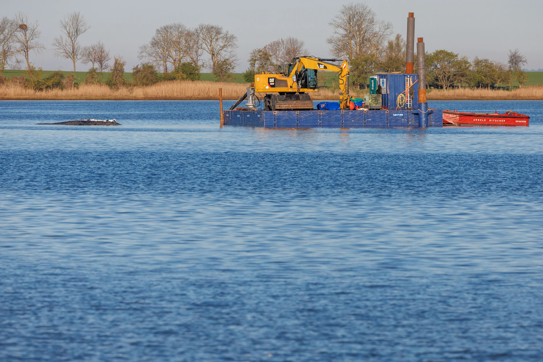 Der bei Wismar vor drei Wochen gestrandete Buckelwal liegt weiterhin auf einer Sandbank fest. Eine privaten Initiative versucht seit Tagen den Wal zu retten.