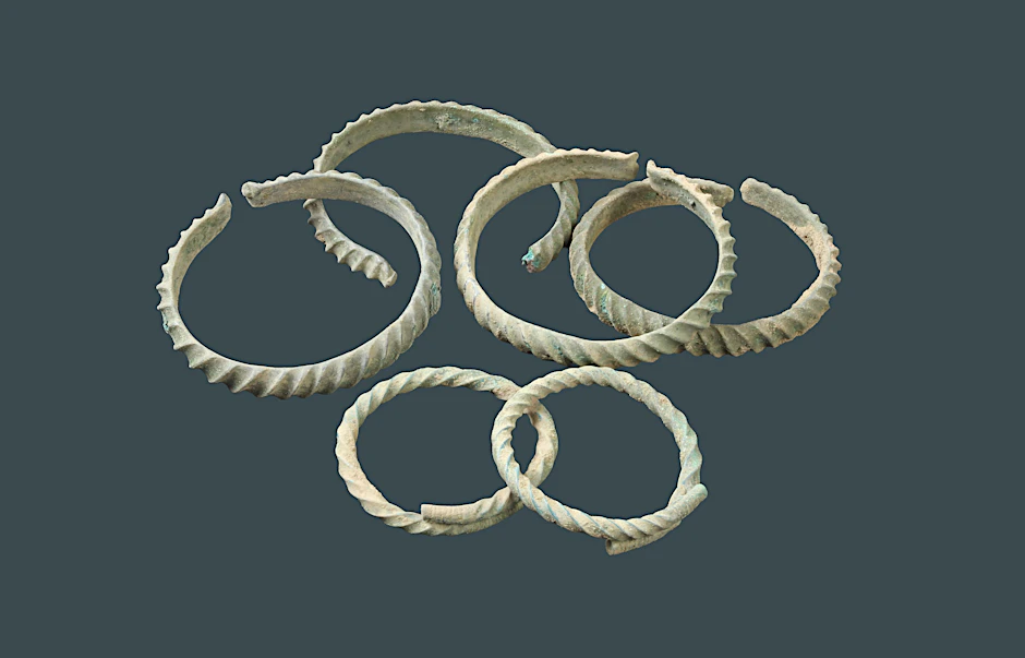Das Ringdepot besteht aus zwei Armringen (Vordergrund) und vier Beinringen.