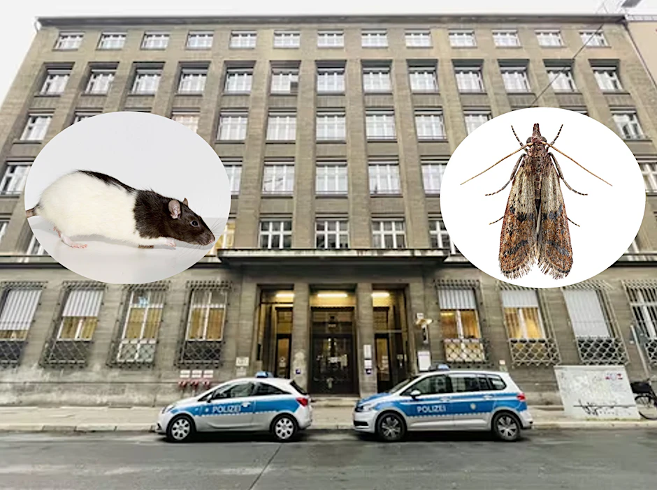 Die Gewerkschaft der Polizei macht auf die Missstände im Regionalabschnitt Friedrichstraße aufmerksam.