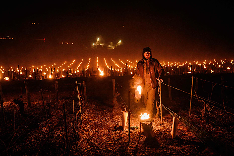 Zum Schutz vor spätem Frost zünden viele Winzer in ihren Weinbergen Frostschutzkerzen oder Feuer an, wie dieser Winzer im französischen Burgund (27.03.2026).