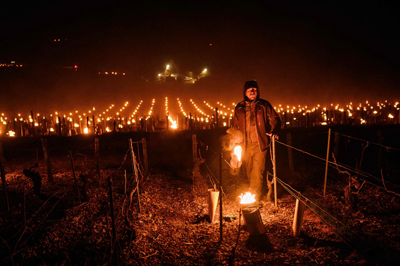 Frostschutz mit Folgen: Schutzfeuer in Obstplantagen behindern Verkehr in Mittelsachsen
