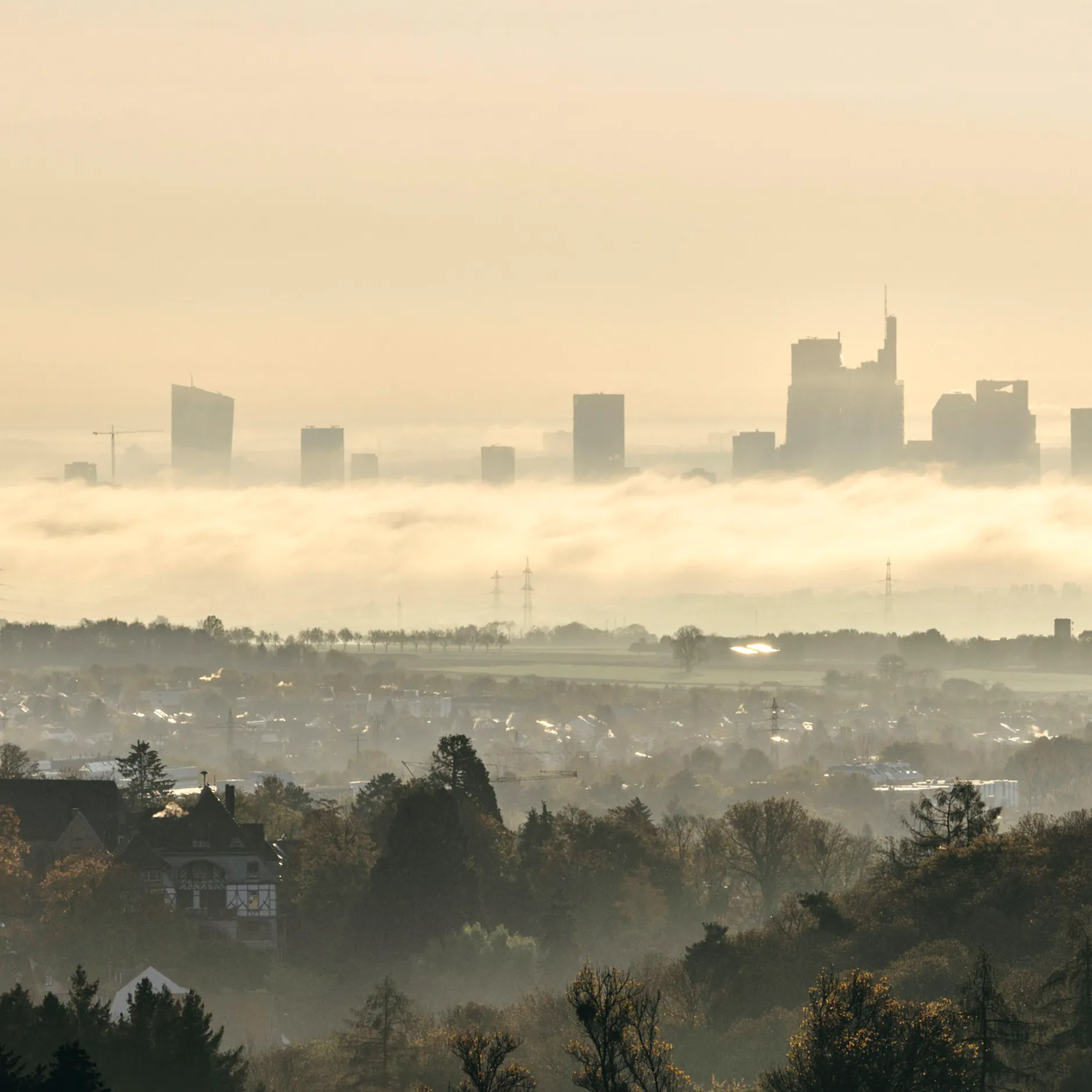 Image - Permanente Stagnation bis in 2030er? Hans-Werner Sinn warnt: „Das vertreibt die Industrie“