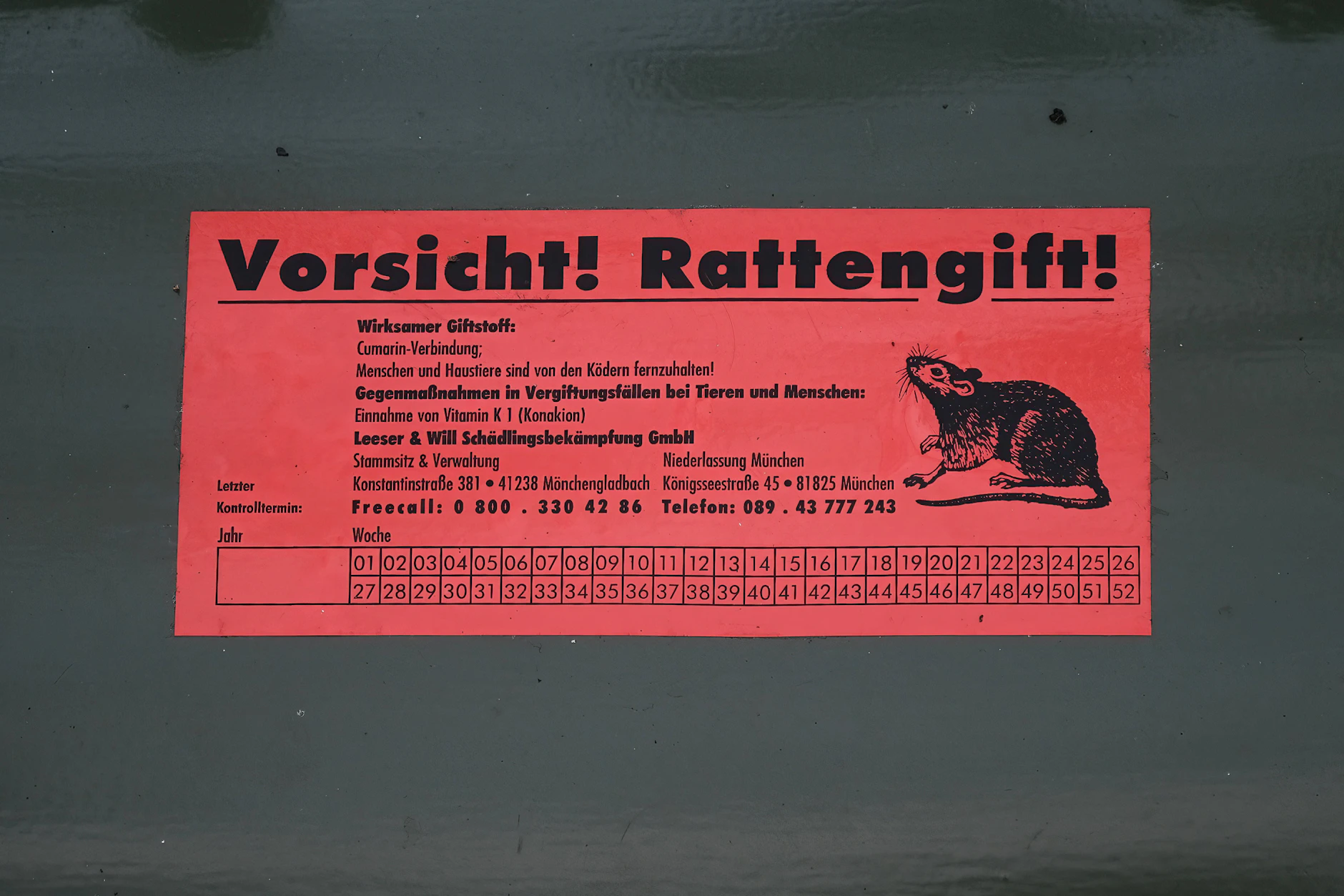 Gefährlicher Fall: Der Verzehr von Rattengift kann vor allem für Säuglinge tödlich sein.