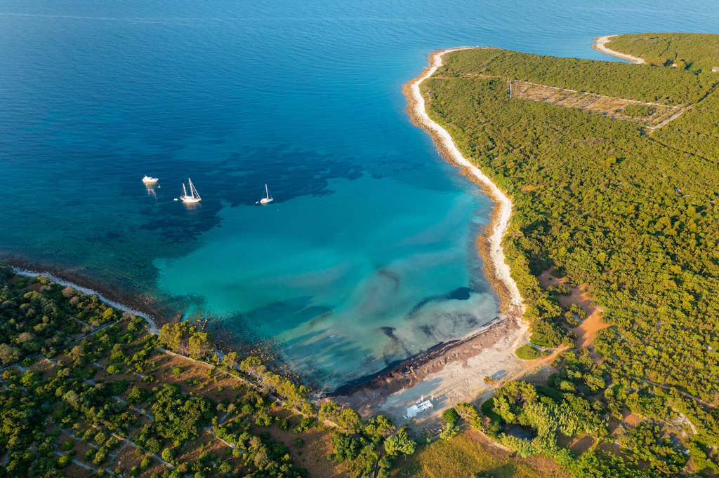 Griechische Rezeptur: Pollen im Schiffspech zeigt antike Reparaturen entlang der Adria