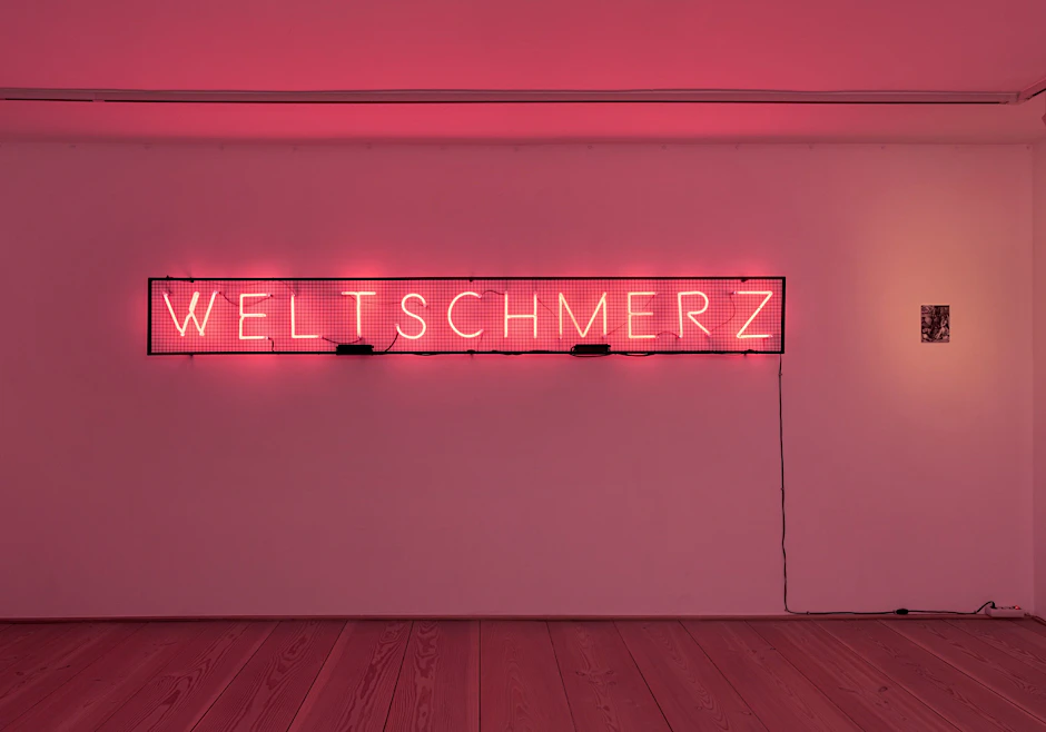 Ein Wort, das die Stimmung der Ausstellung in zwei Silben fasst: Igor Simics Neonarbeit „Weltschmerz“ (2019) verweist auf das Gefühl, an der Welt – und ihrer Gegenwart – zu leiden.