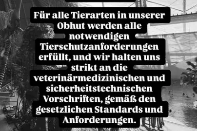 Das Tropical Island postete am Freitagmorgen ein Statement auf Instagram.