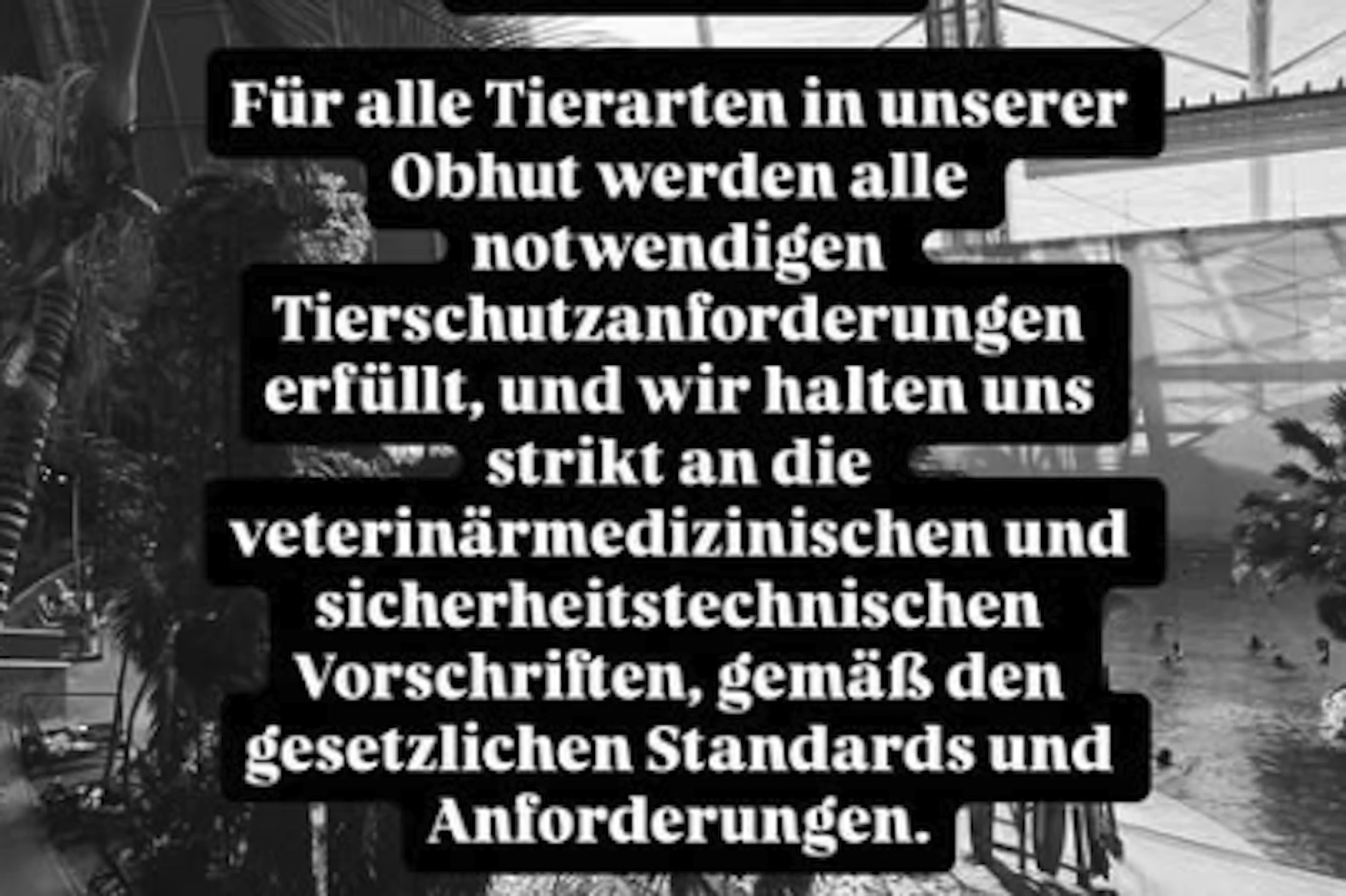 Das Tropical Island postete am Freitagmorgen ein Statement auf Instagram.