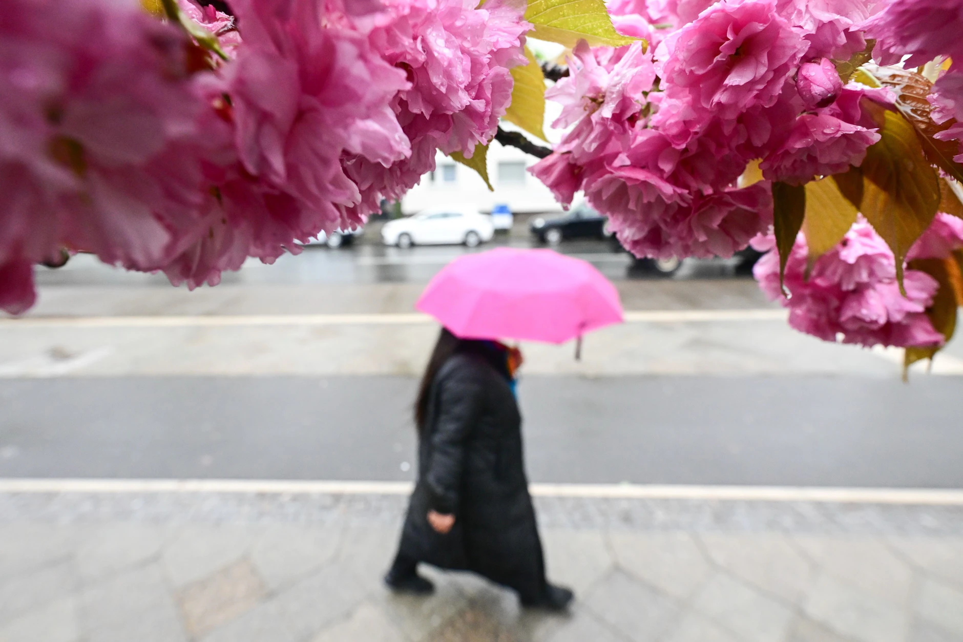 Der Frühling bleibt durchwachsen: Mal gibt es Sonne, mal Regen - und nun sol es plötzlich wieder richtig kalt werden.