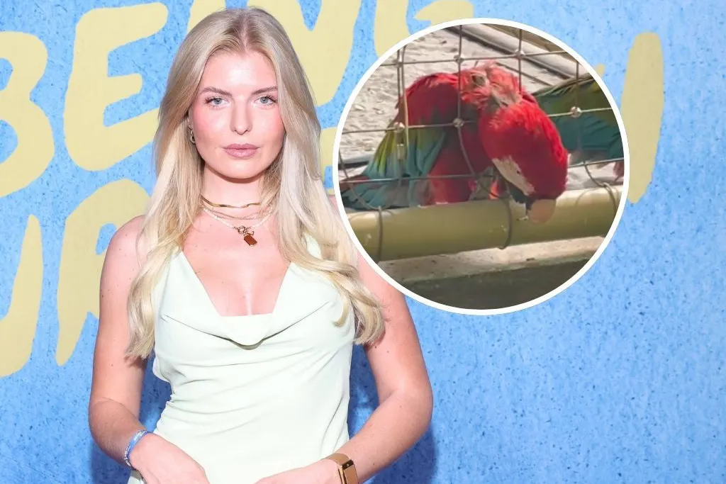 Antonia Hemmer ist wütend: Ein sichtlich psychisch mitgenommener Papagei wird im Tropical Island gehalten.