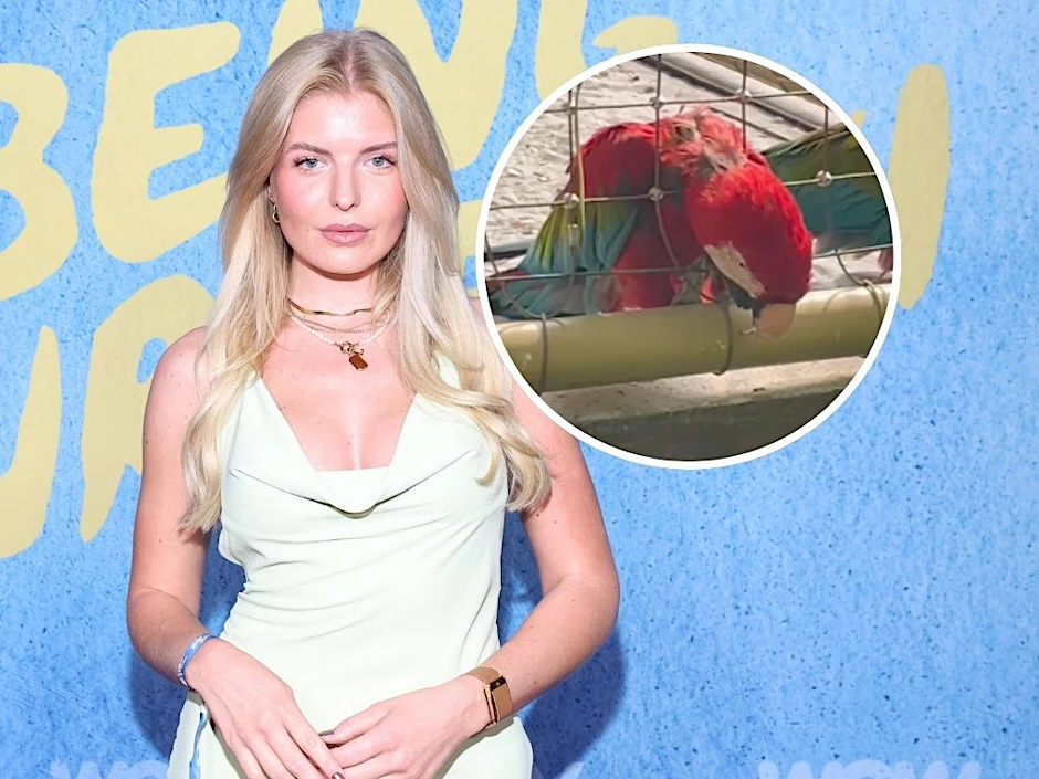 Antonia Hemmer ist wütend: Ein sichtlich psychisch mitgenommener Papagei wird im Tropical Island gehalten.