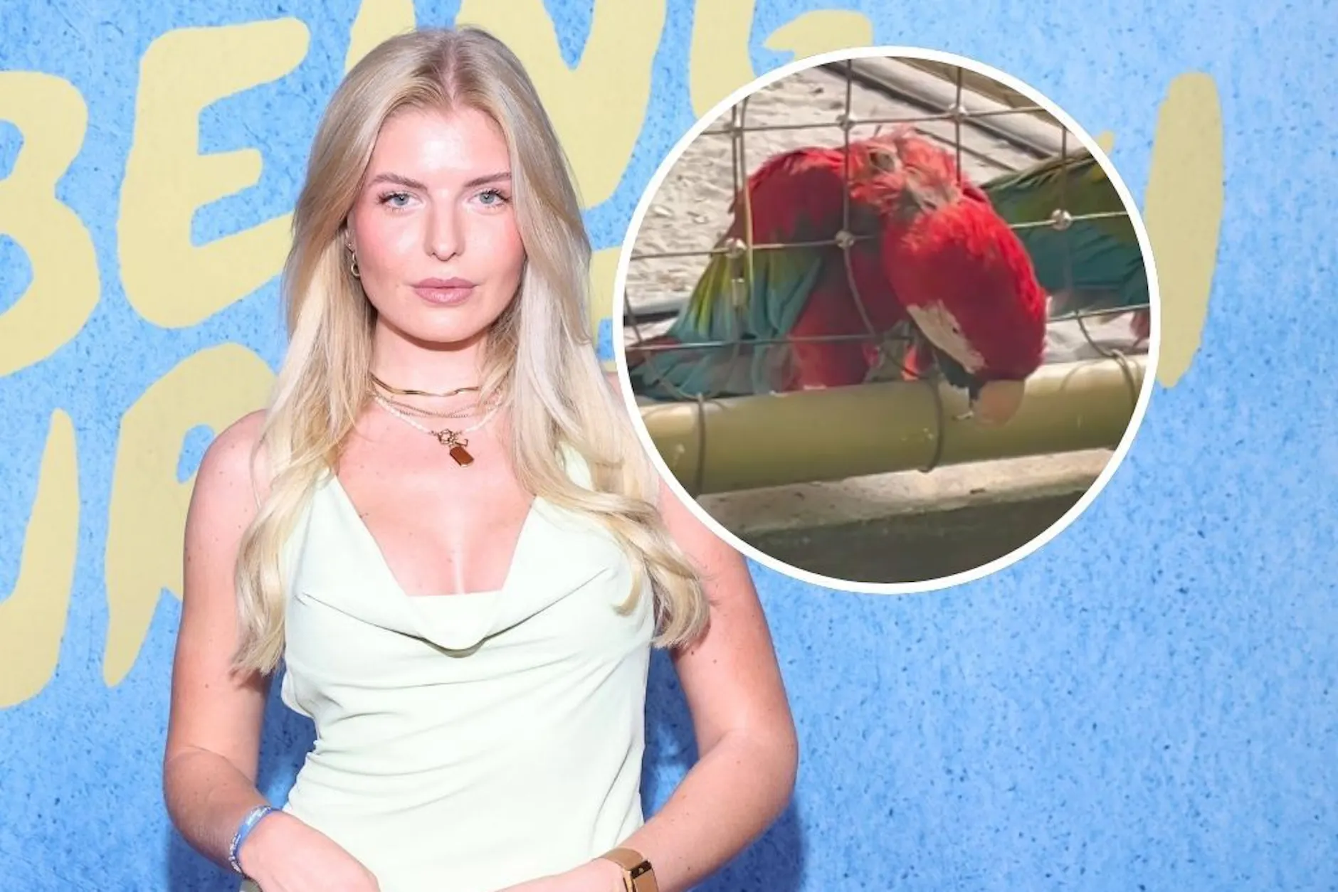 Papagei-Drama im Tropical Island: TV-Star Antonia Hemmer schlägt Alarm!