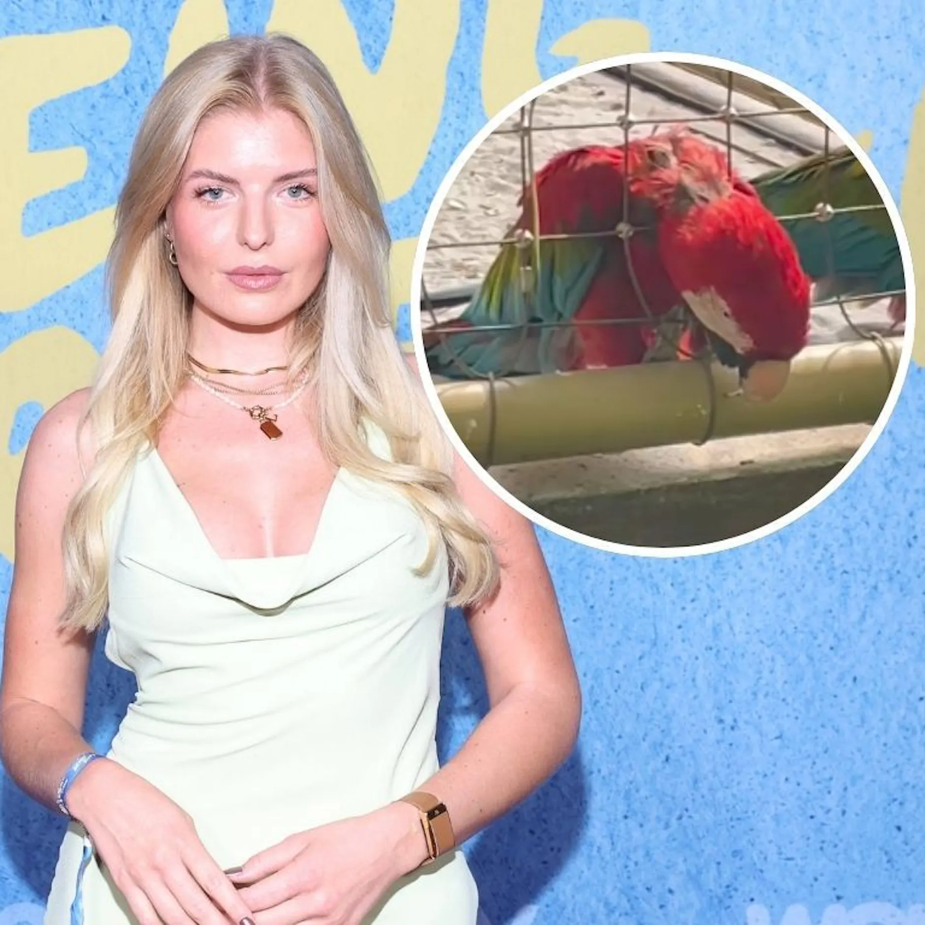 Papagei-Drama im Tropical Island: TV-Star Antonia Hemmer schlägt Alarm!