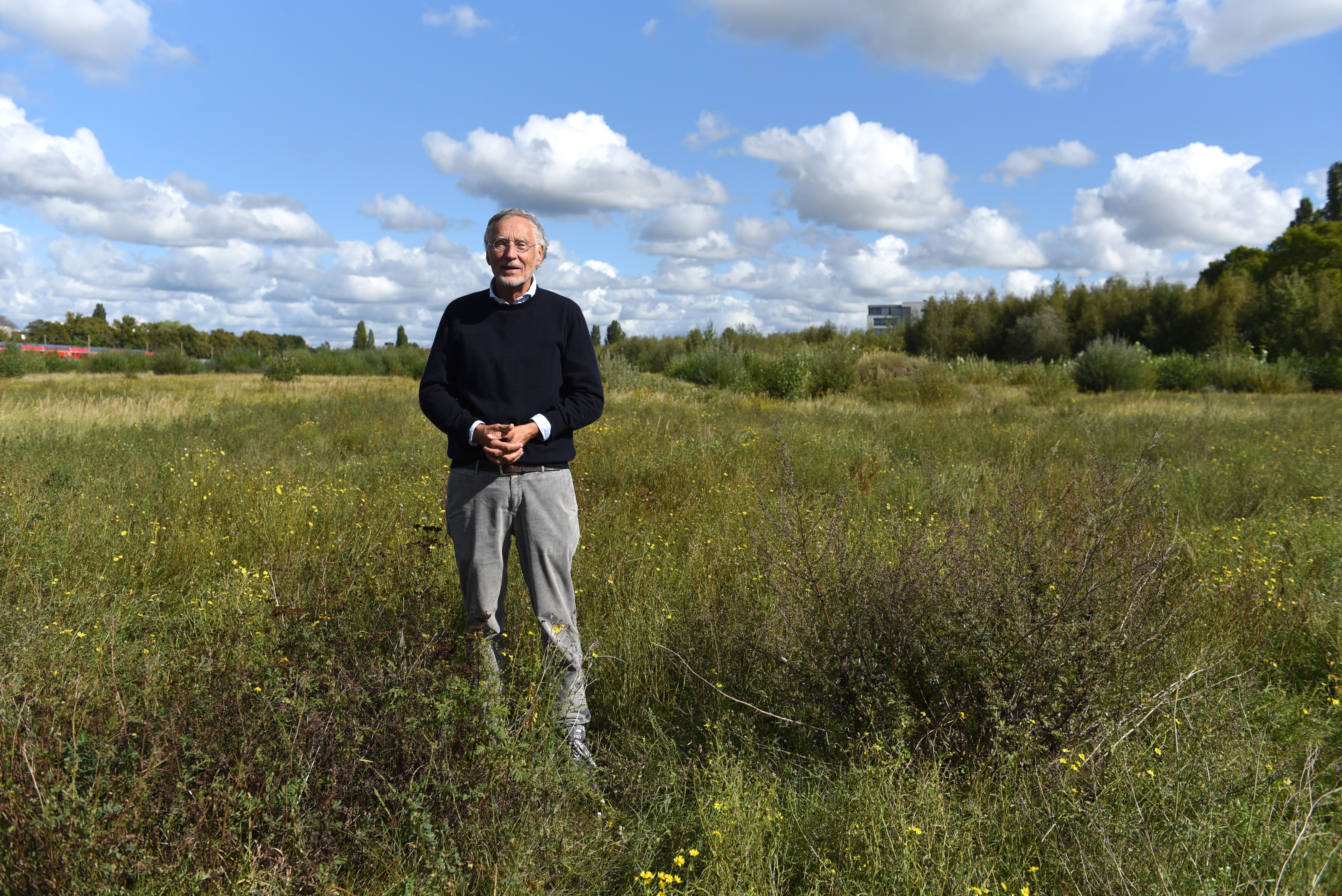 Kreuzkröten gefährden Neubau: Gericht entscheidet für Naturschutz!