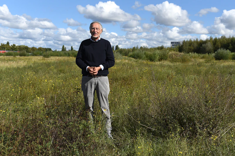 Kreuzkröten gefährden Neubau: Gericht entscheidet für Naturschutz!