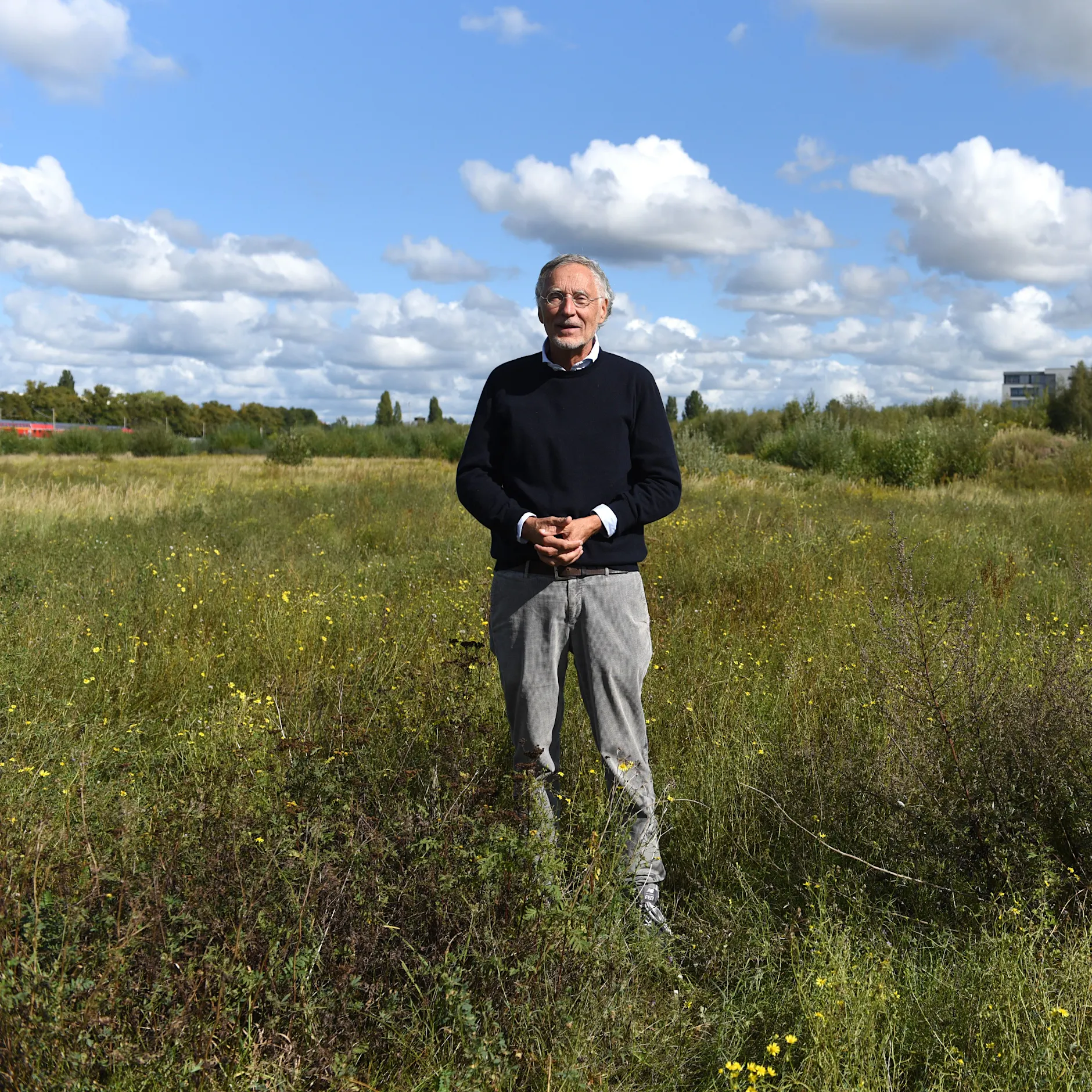 Kreuzkröten gefährden Neubau: Gericht entscheidet für Naturschutz!