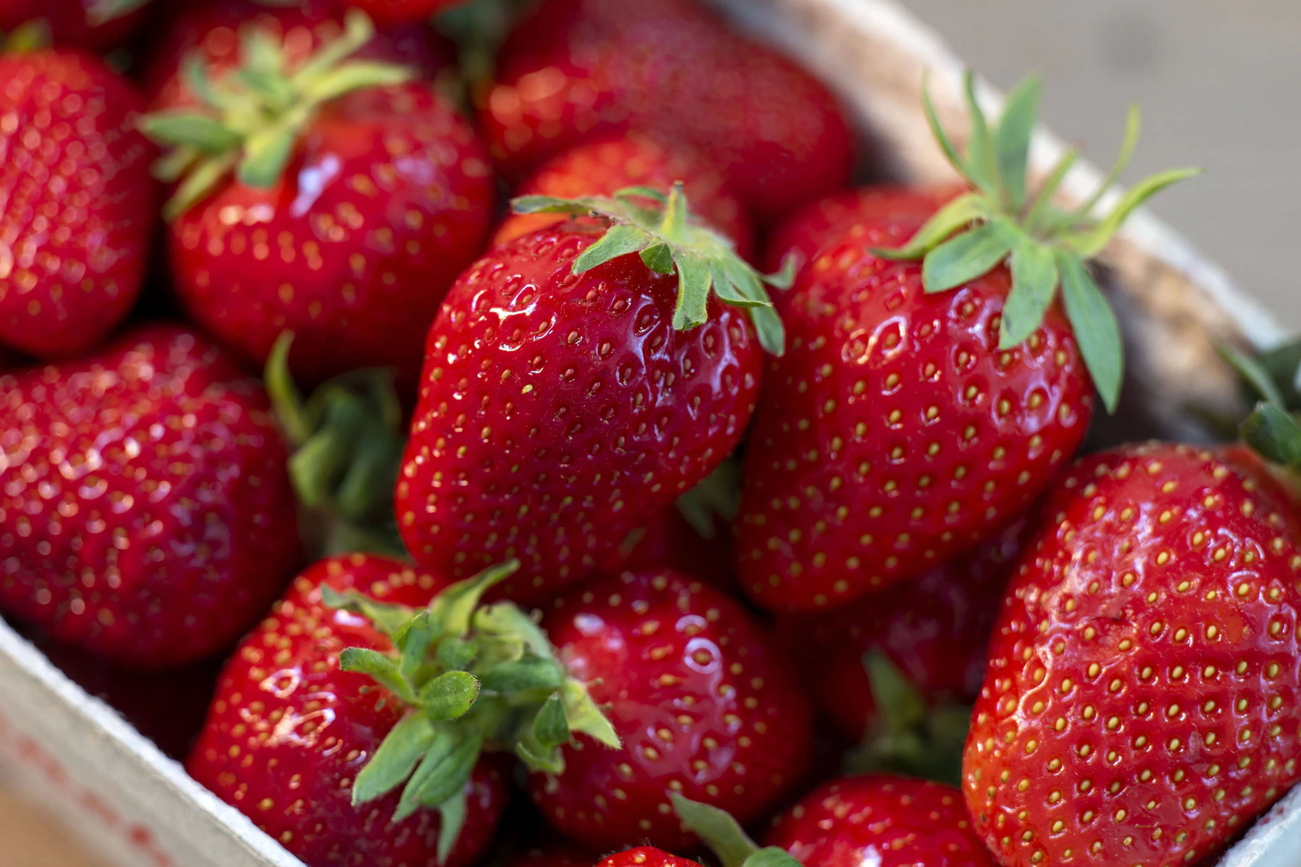 Die Ernte beginnt: Bald  werden wieder frische Erdbeeren überall in Berlin verkauft. Machen Sie daraus doch einmal eine leckere Paradiestorte mit viel Creme!