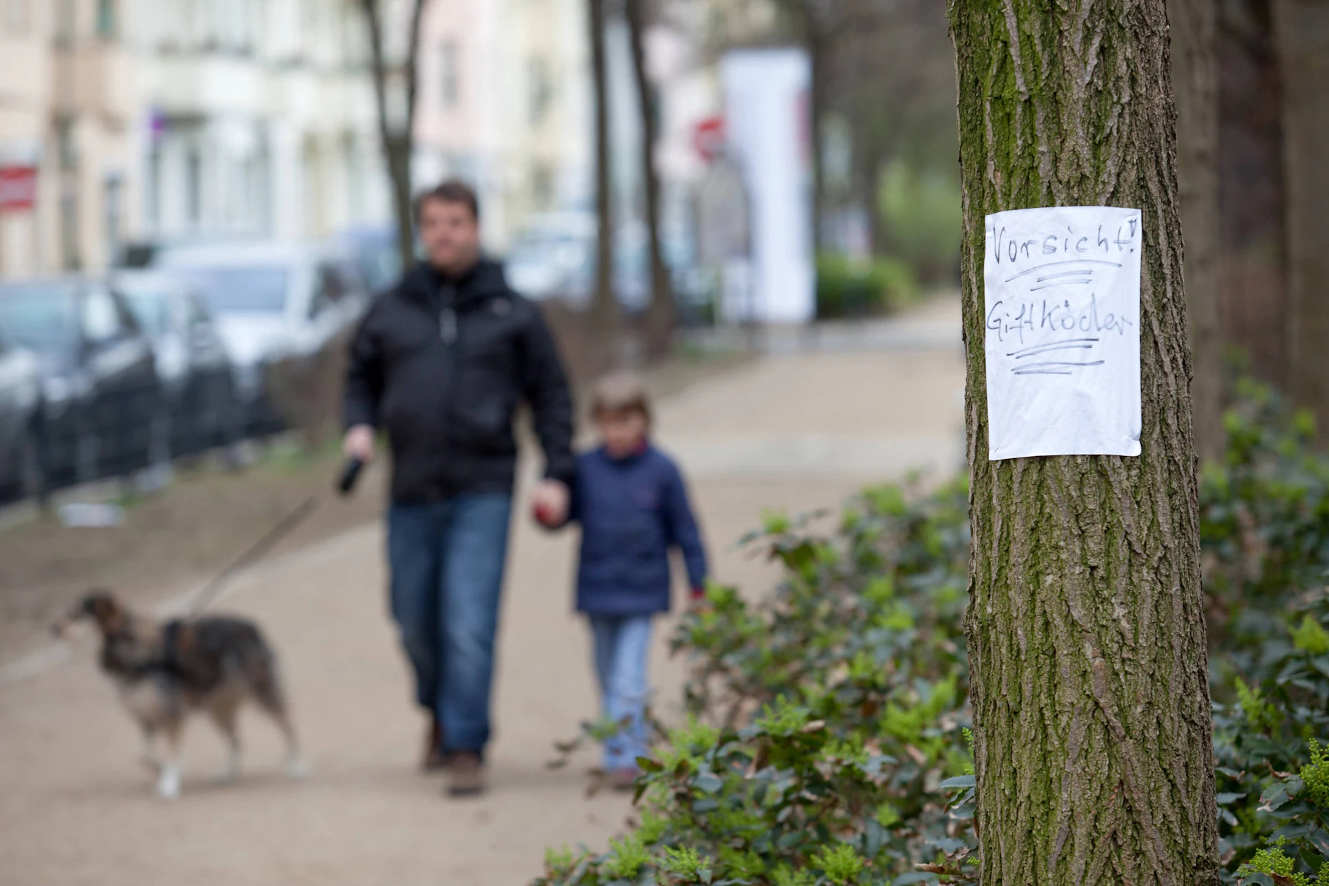 Zettel oder Plakate an Bäumen, in denen Hundebesitzer vor Giftködern gewarnt werden, sind keine Seltenheit in Berlin.