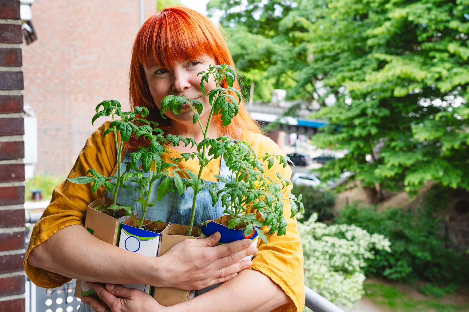 In Berlin gibt es viele Balkon-Gärtner. Auch sie können sich kommende Woche die Gratis-Pflanzen abholen.