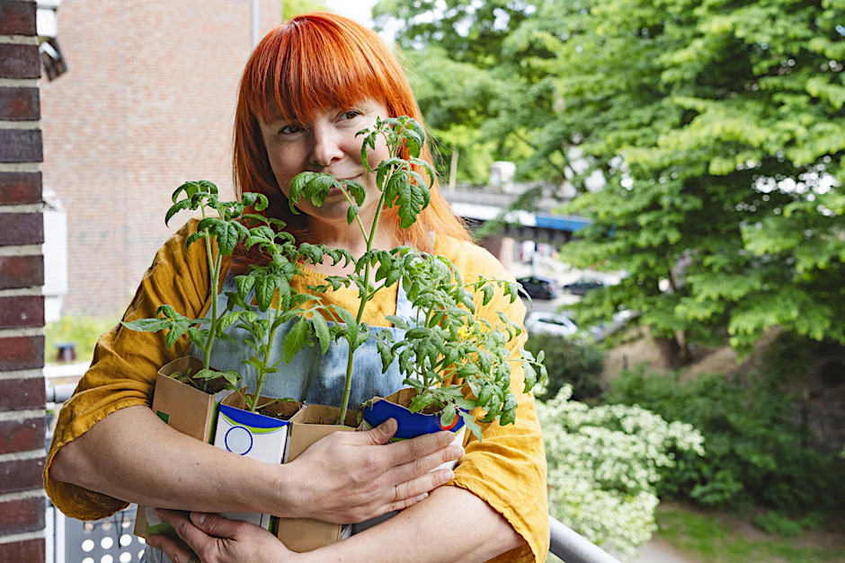 In Berlin gibt es viele Balkon-Gärtner. Auch sie können sich kommende Woche die Gratis-Pflanzen abholen.