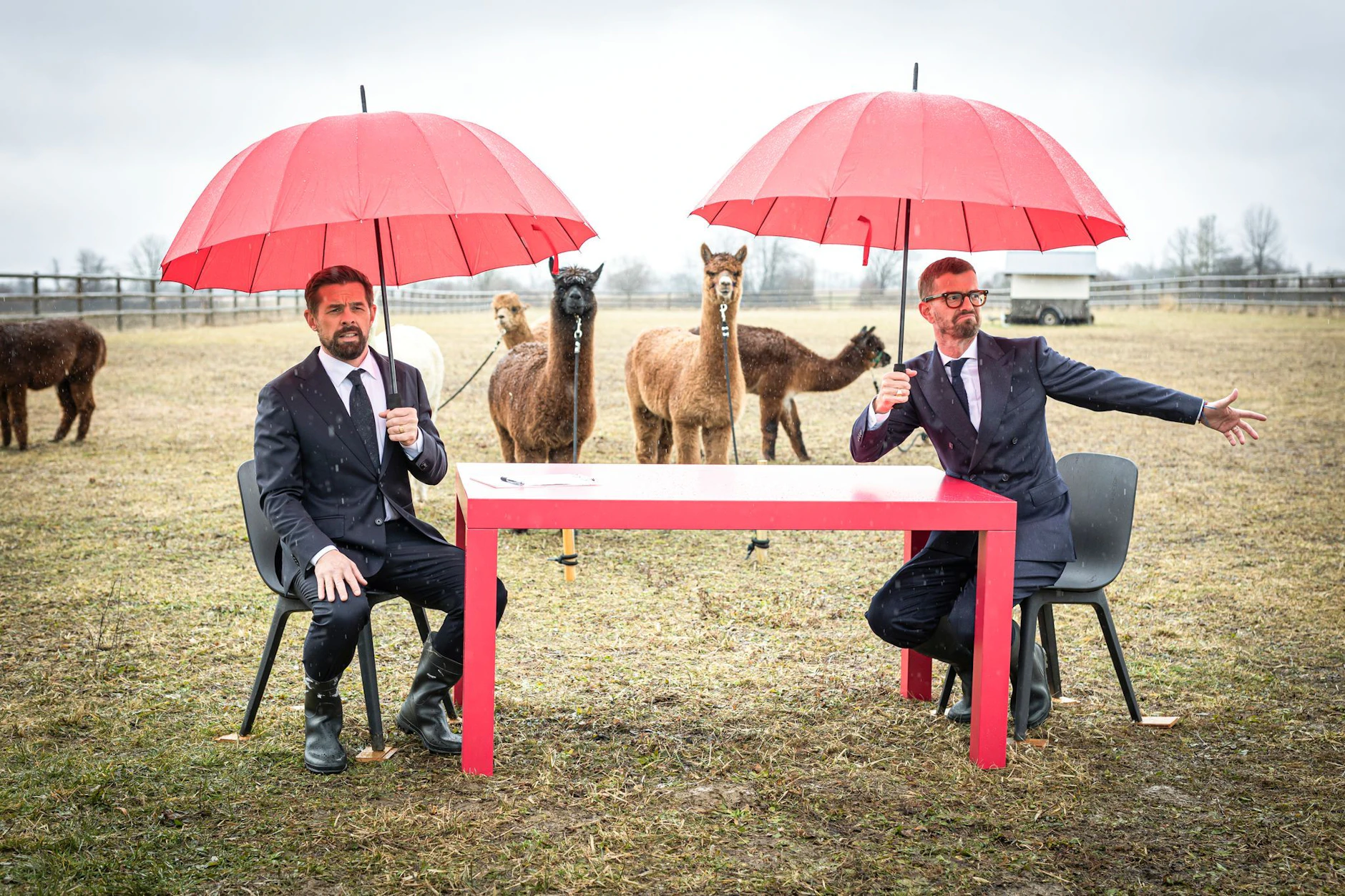 Das Studio von „Ein sehr gutes Quiz“ wird jeden Sonntag irgendwo aufgebaut – wenn es sein muss, landen Joko und Klaas also auch auf einer Alpakafarm.