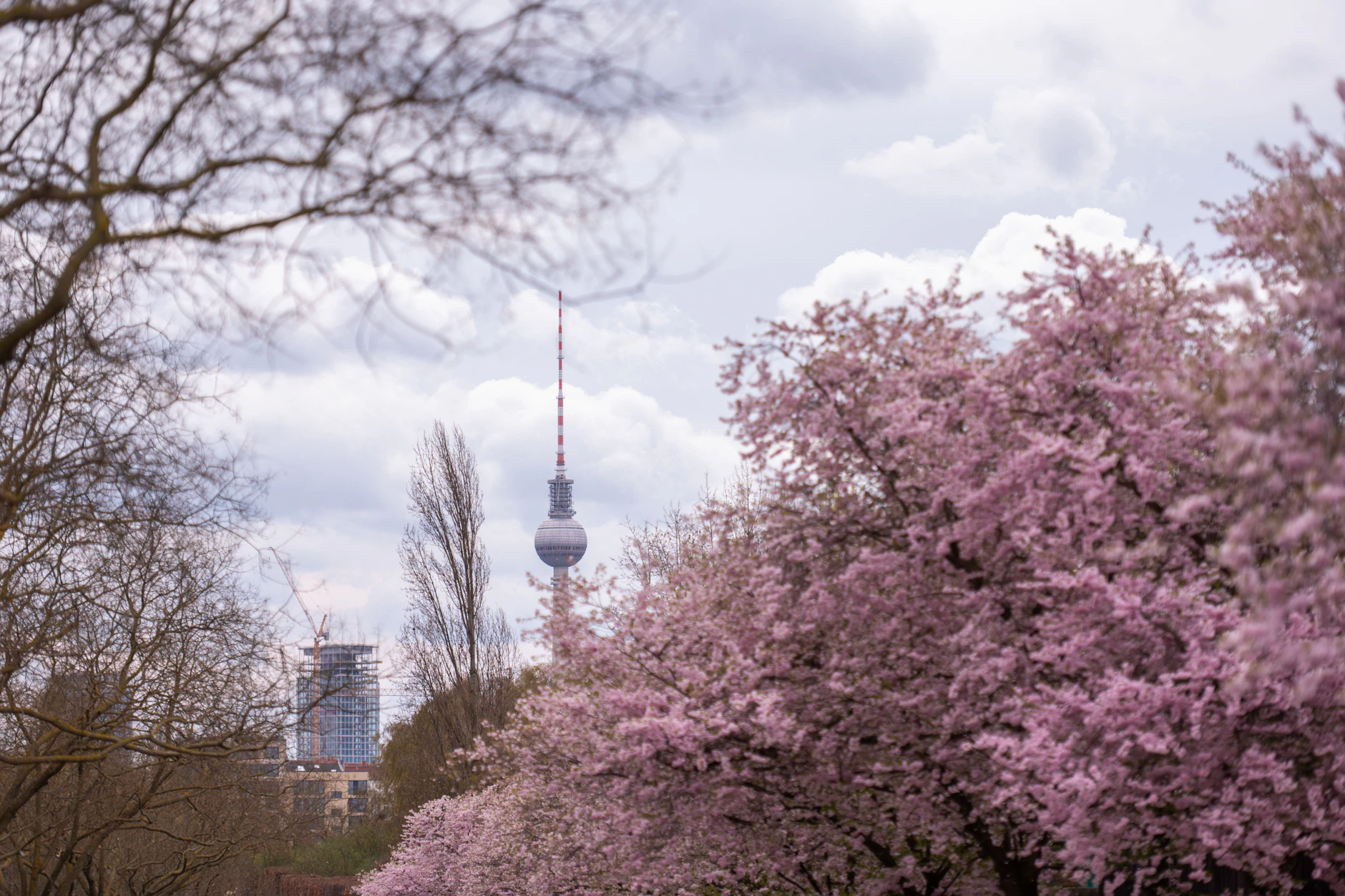 Berlin erlebt einen sehr durchwachsenen Frühling. Mal ist es warm und herrlich sonnig, dann plötzlich wieder bitterkalt und frostig.