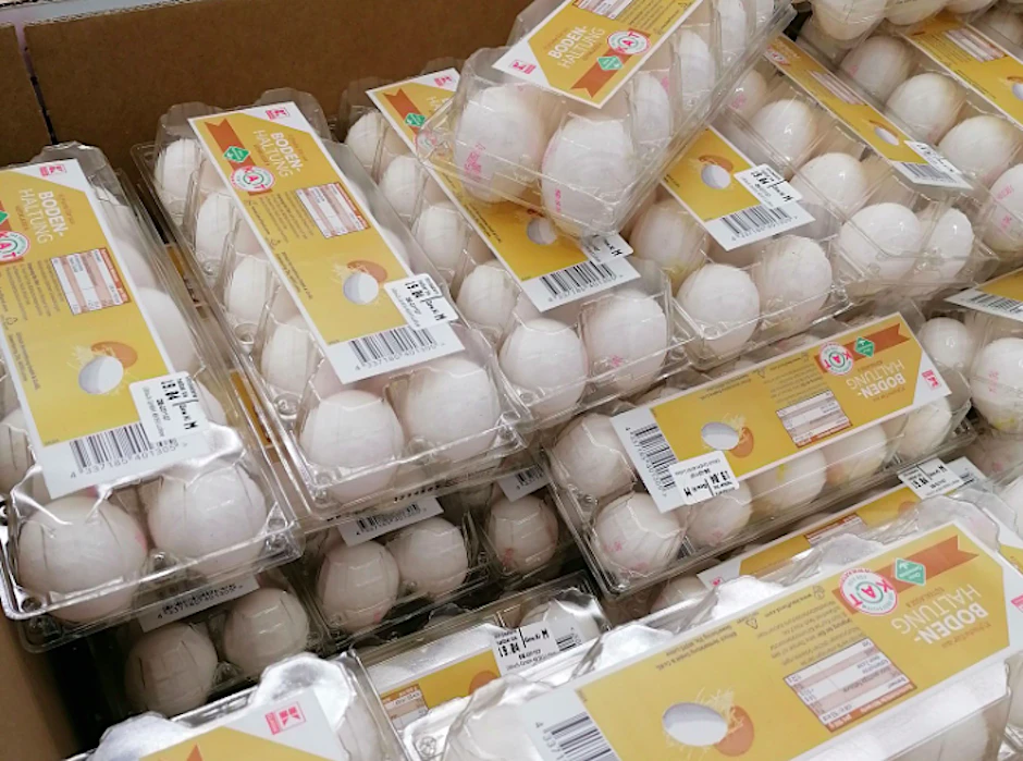 Kaufland sorgt mit einer ungewöhnlichen Eierverpackung aus Plastik für Diskussionen in den sozialen Medien.