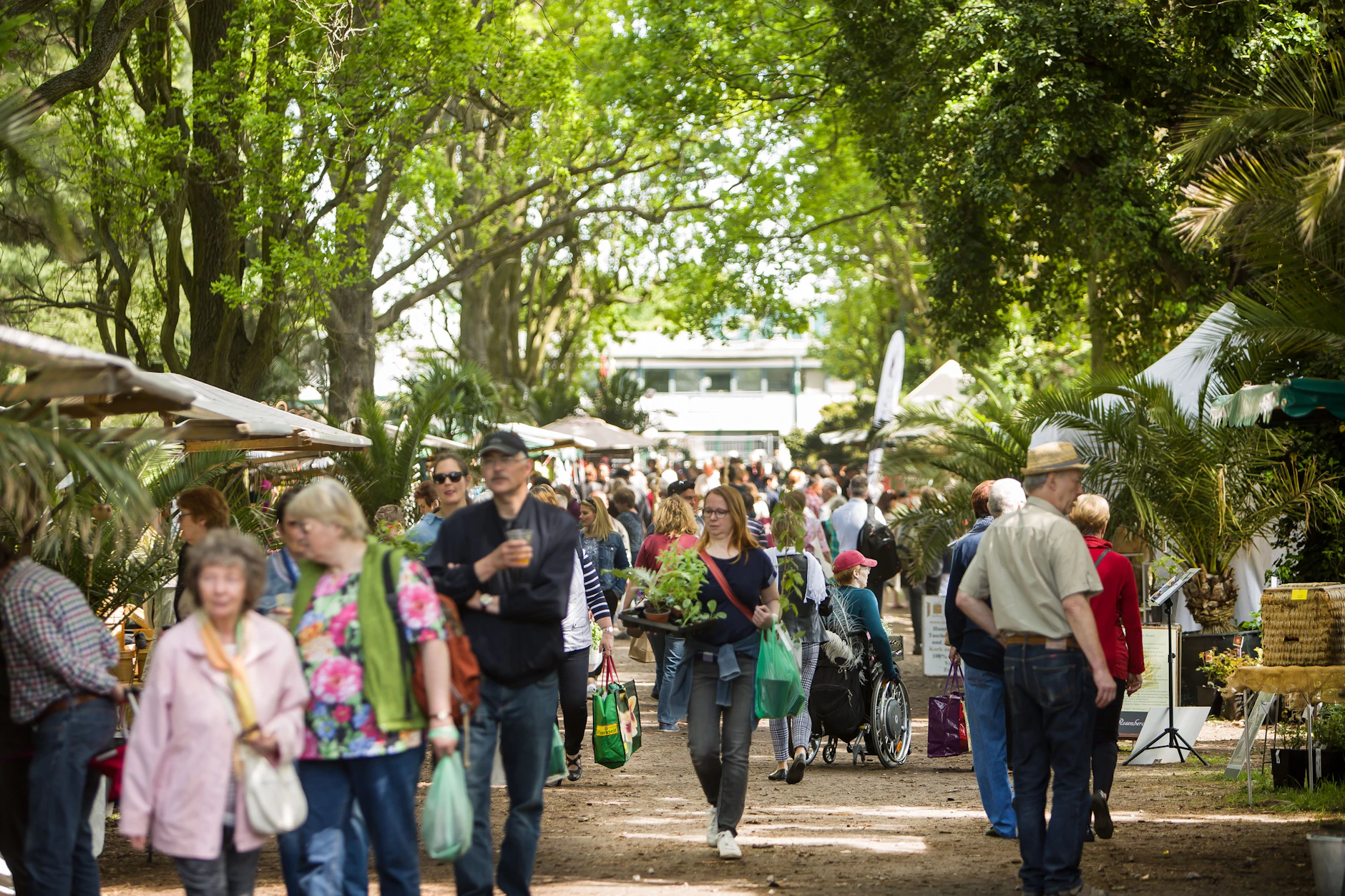 So sah das Frühlingsfest vergangenes Jahr aus.