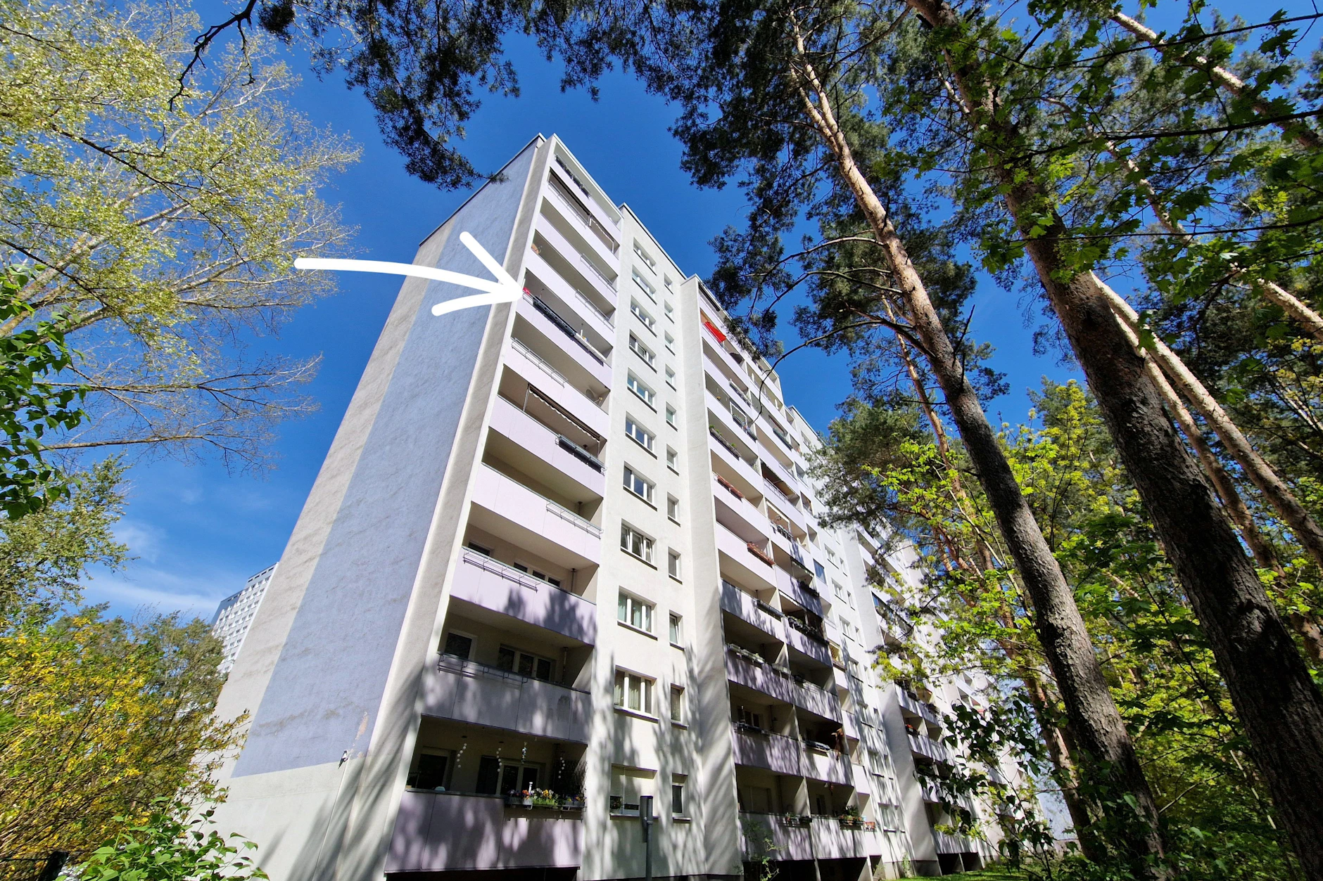 Im siebenten Stock dieses Hauses brütet die Ente in luftiger Höhe.