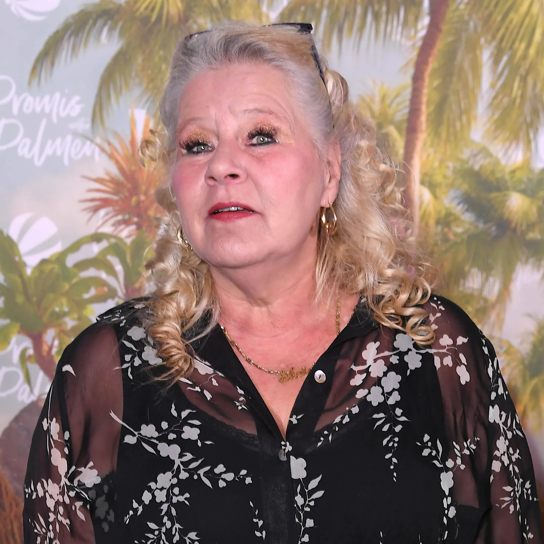 Wollny-Zoff eskaliert: Polizei-Aufruf und Stalking-Vorwürfe gegen Mama Silvia